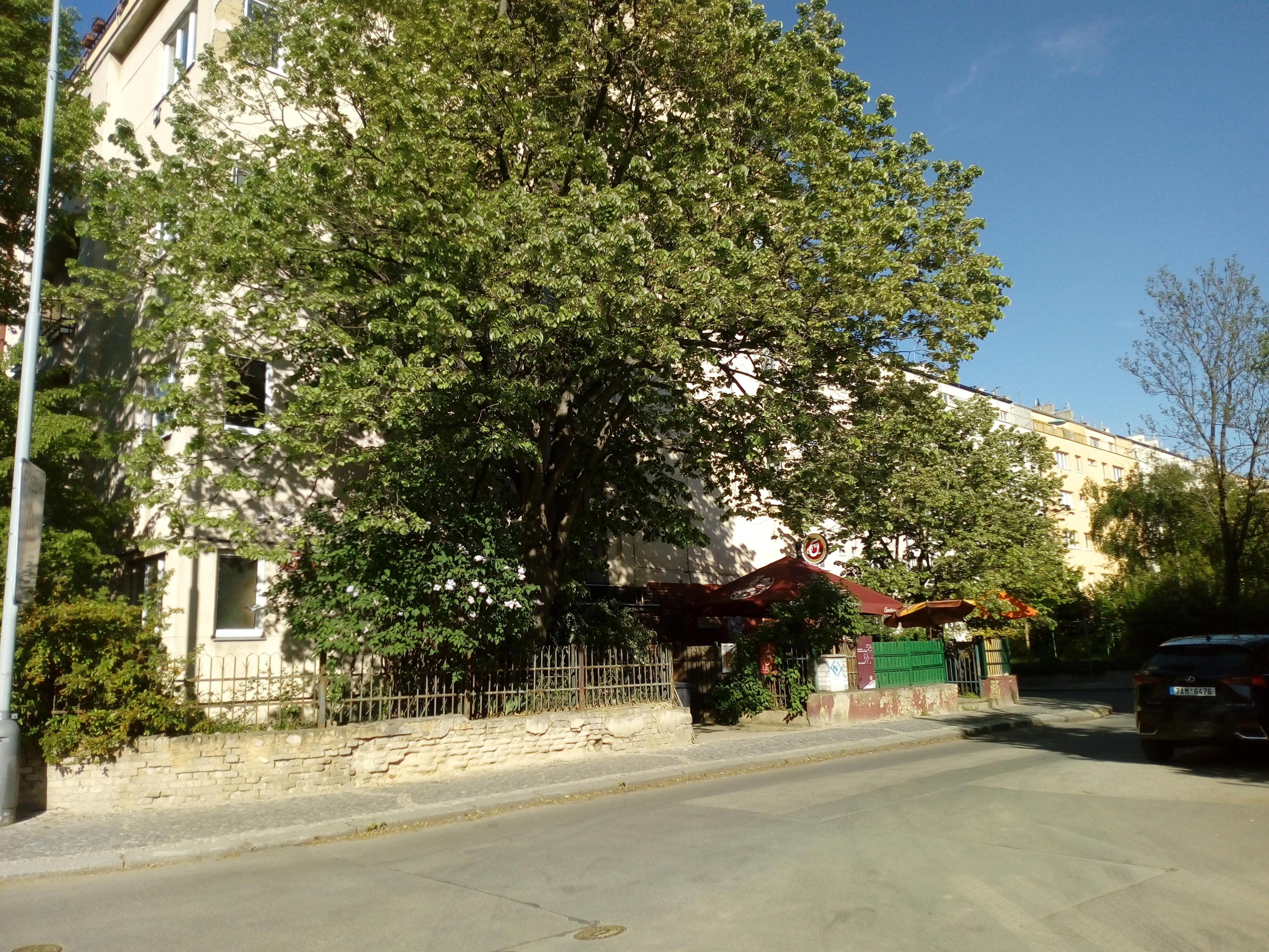 Hostinec U Procházků foto 2