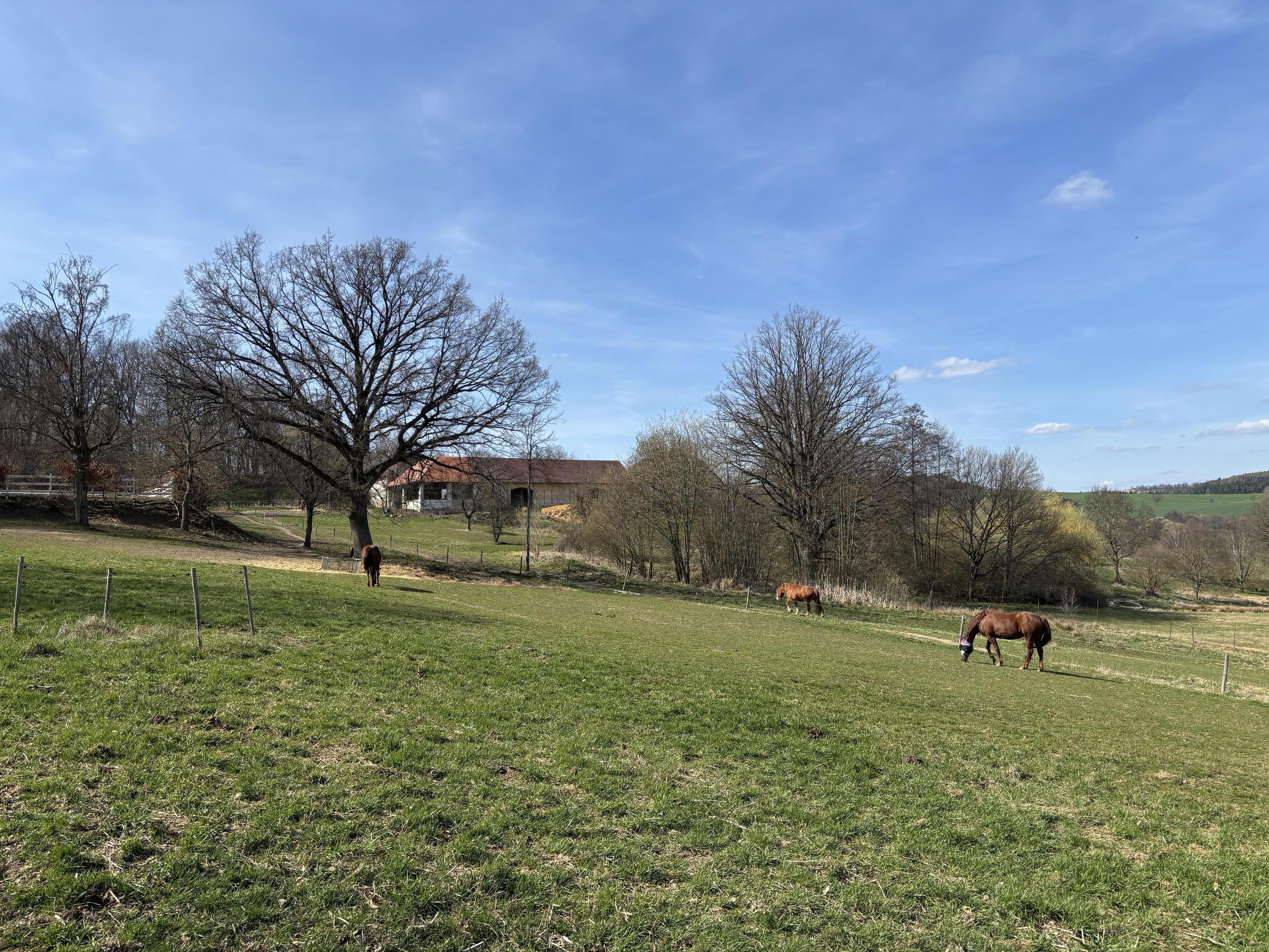 Jezdecký klub EQUITACION foto 3