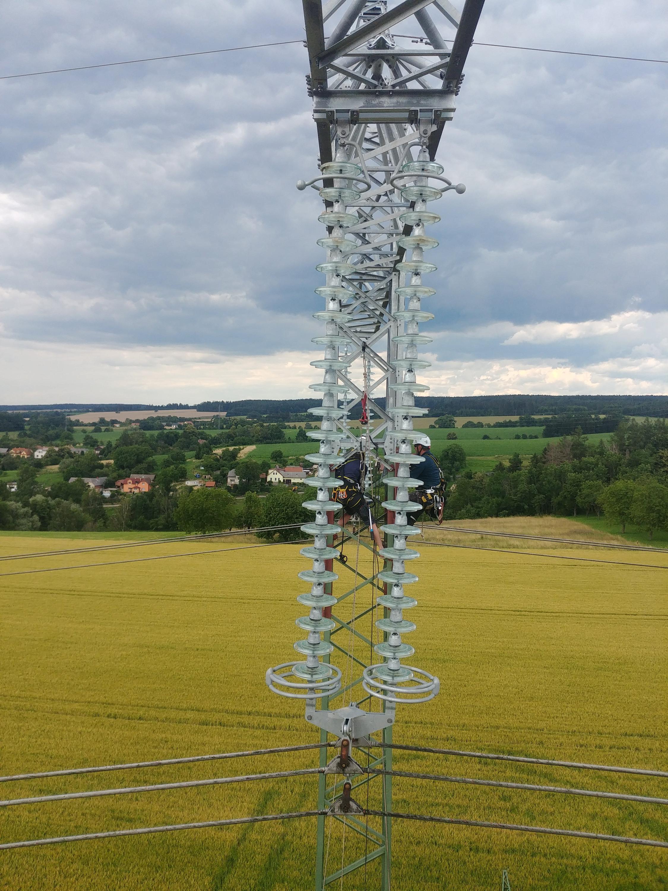 RWXX - Výškové a arboristické práce foto 3