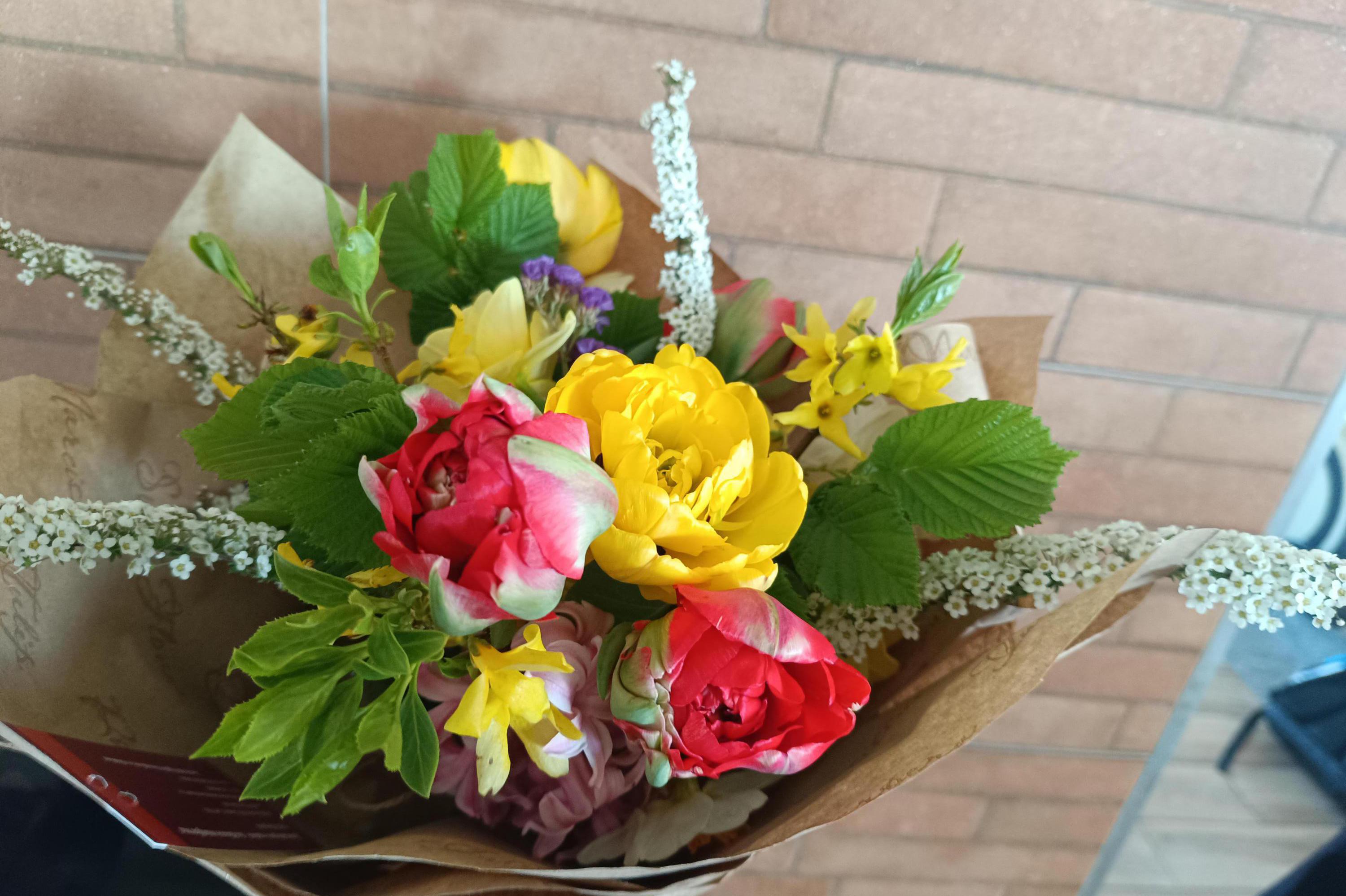 Zahrada pro radost - Květa Balgová