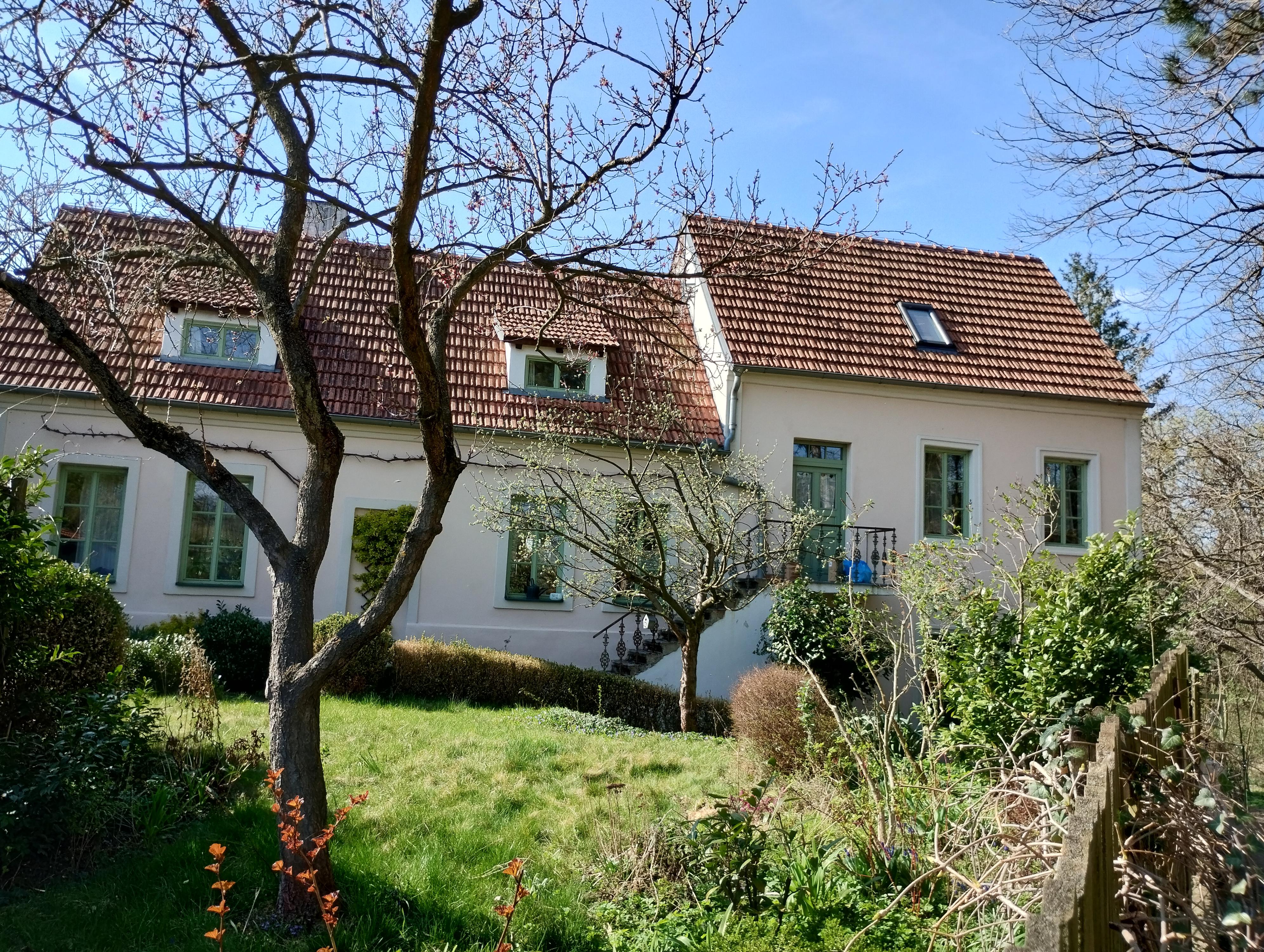 Kavárna Modrý Korálek foto 6