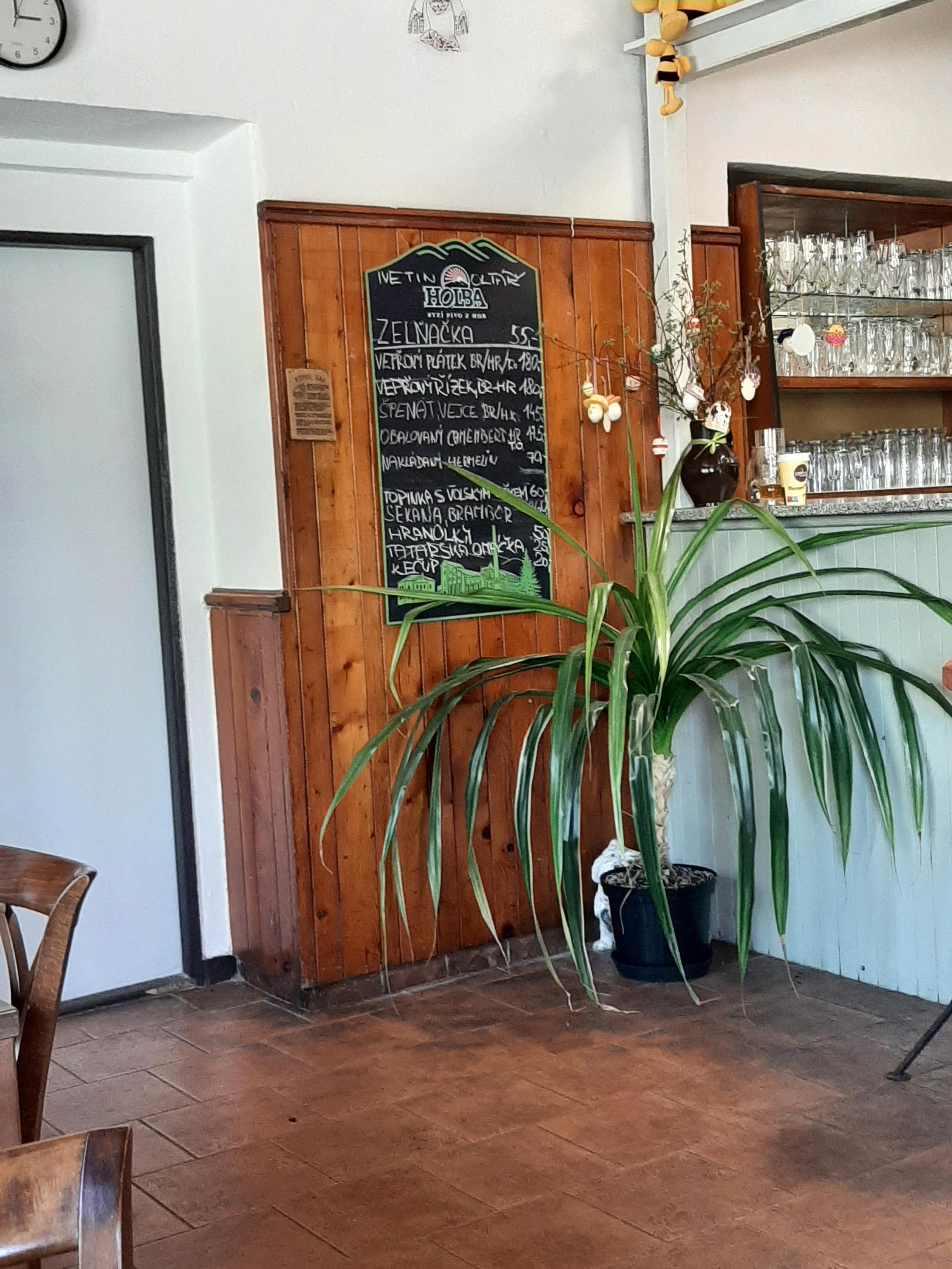 Restaurace U Nádraží foto 6