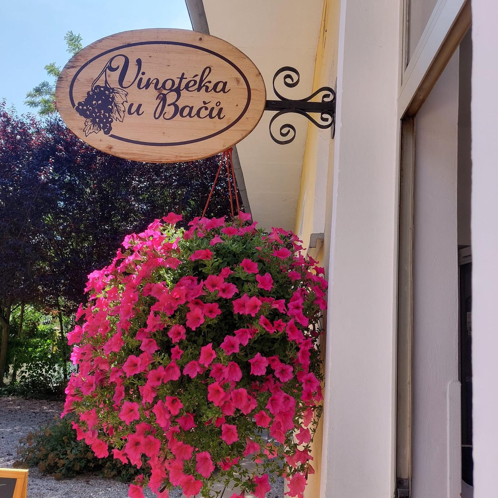 Vinotéka U Bačů