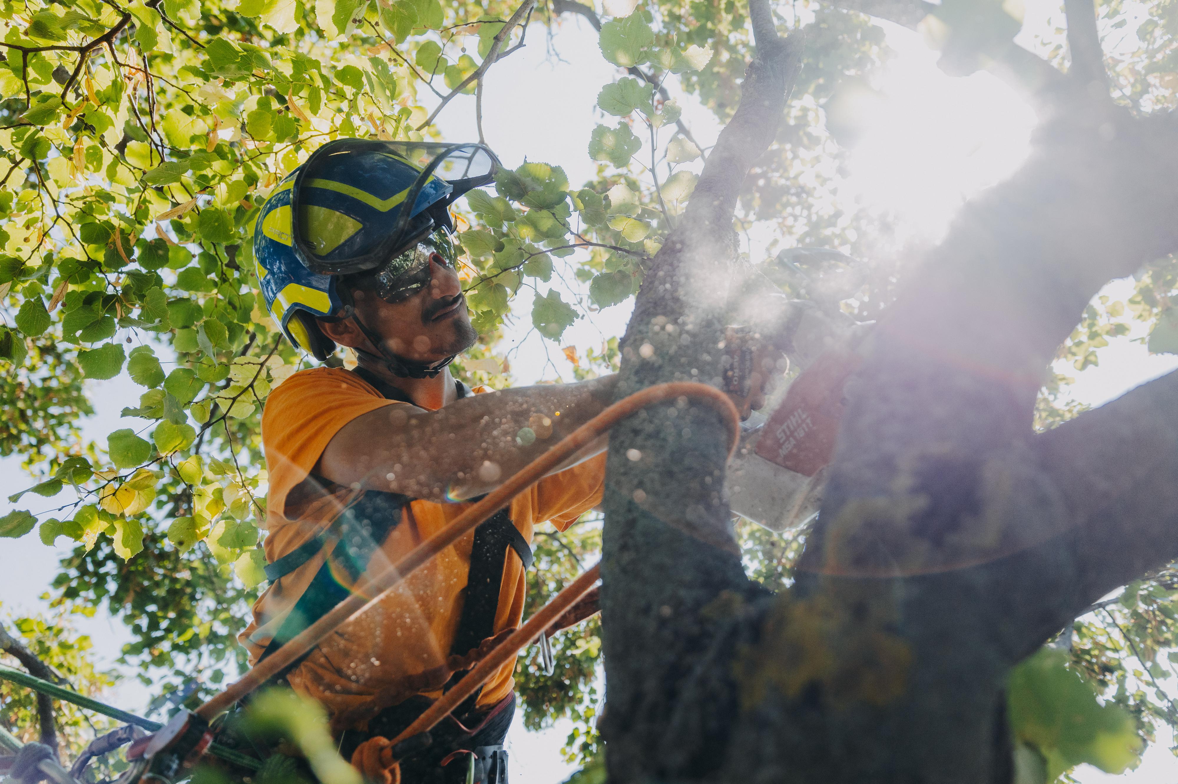 KOMPLEXARBO.cz - Adam Kříž