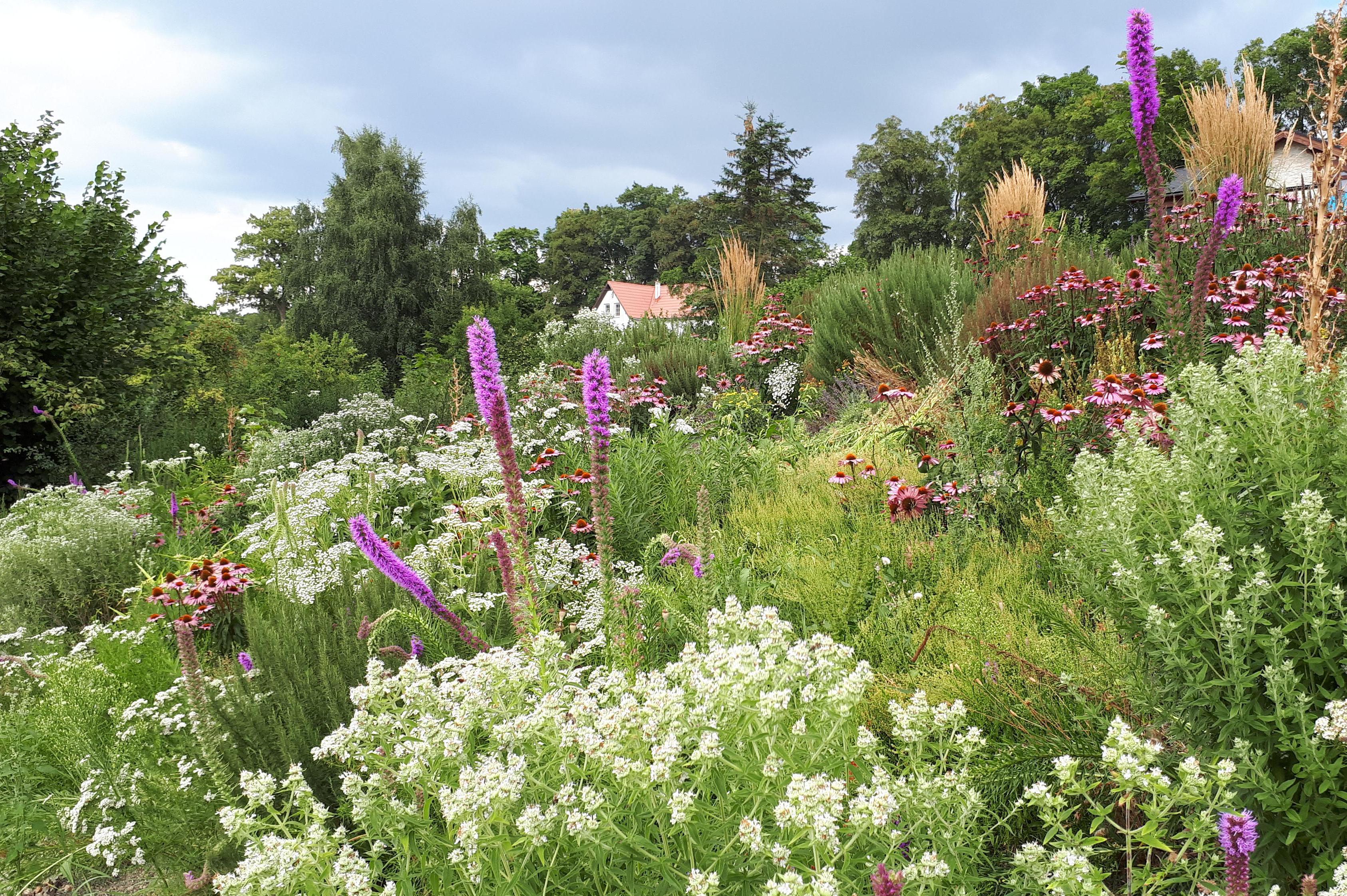Zelená zahrada Liberec