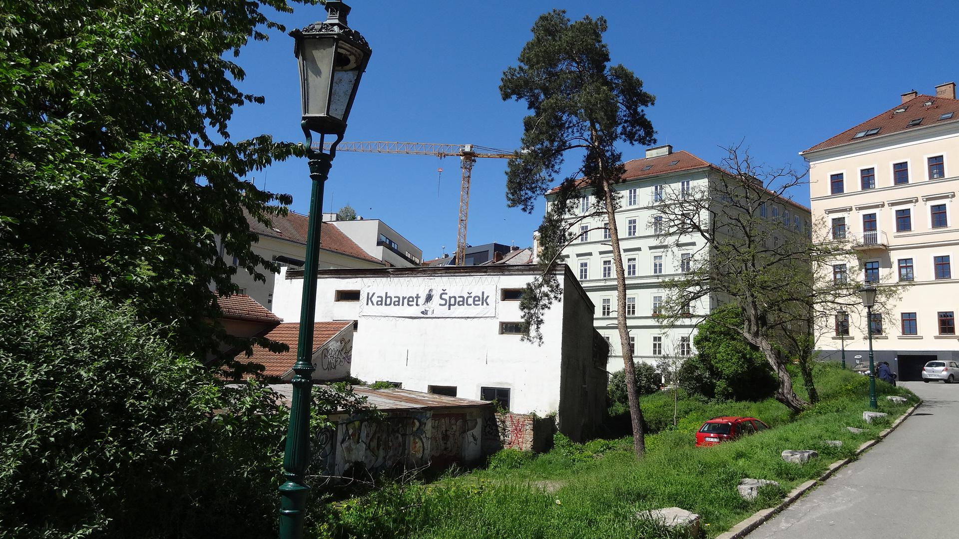 Špaček foto 2