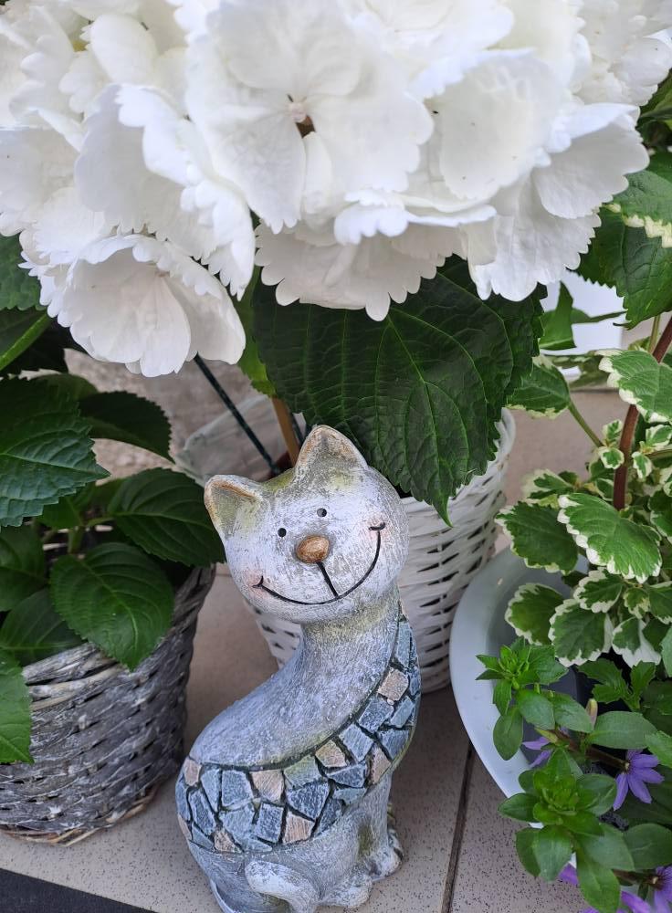 Květinářství Rozmarýna foto 5