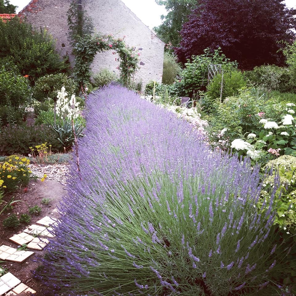 Levandulová zahrada Anette - kavárna foto 4