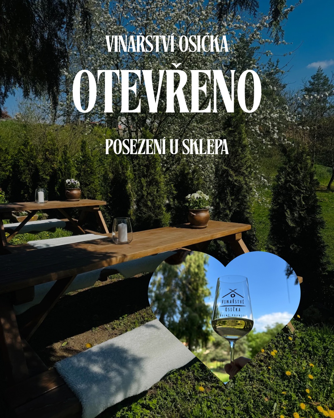 Vinařství Osička foto 2
