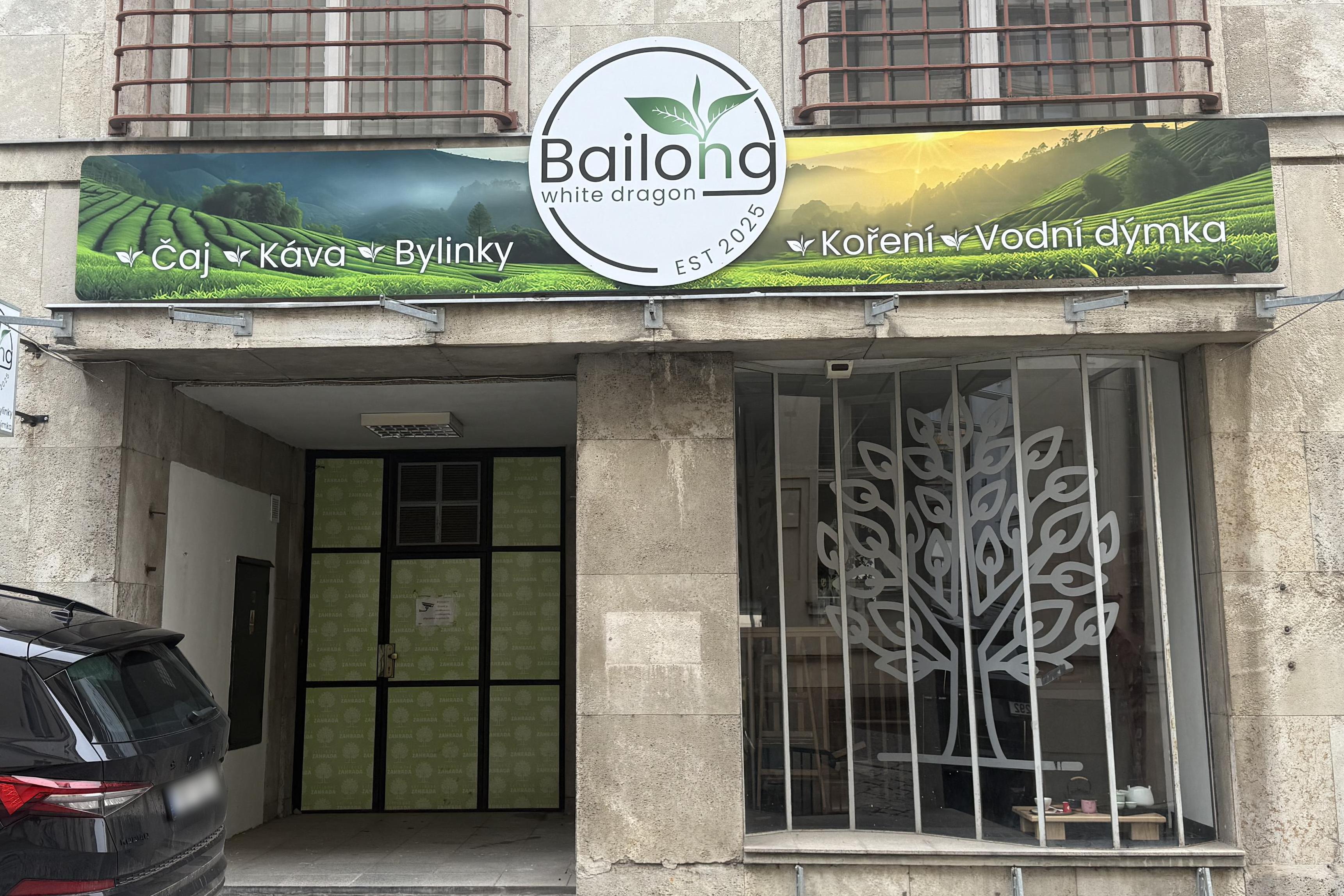 Bailong white dragon