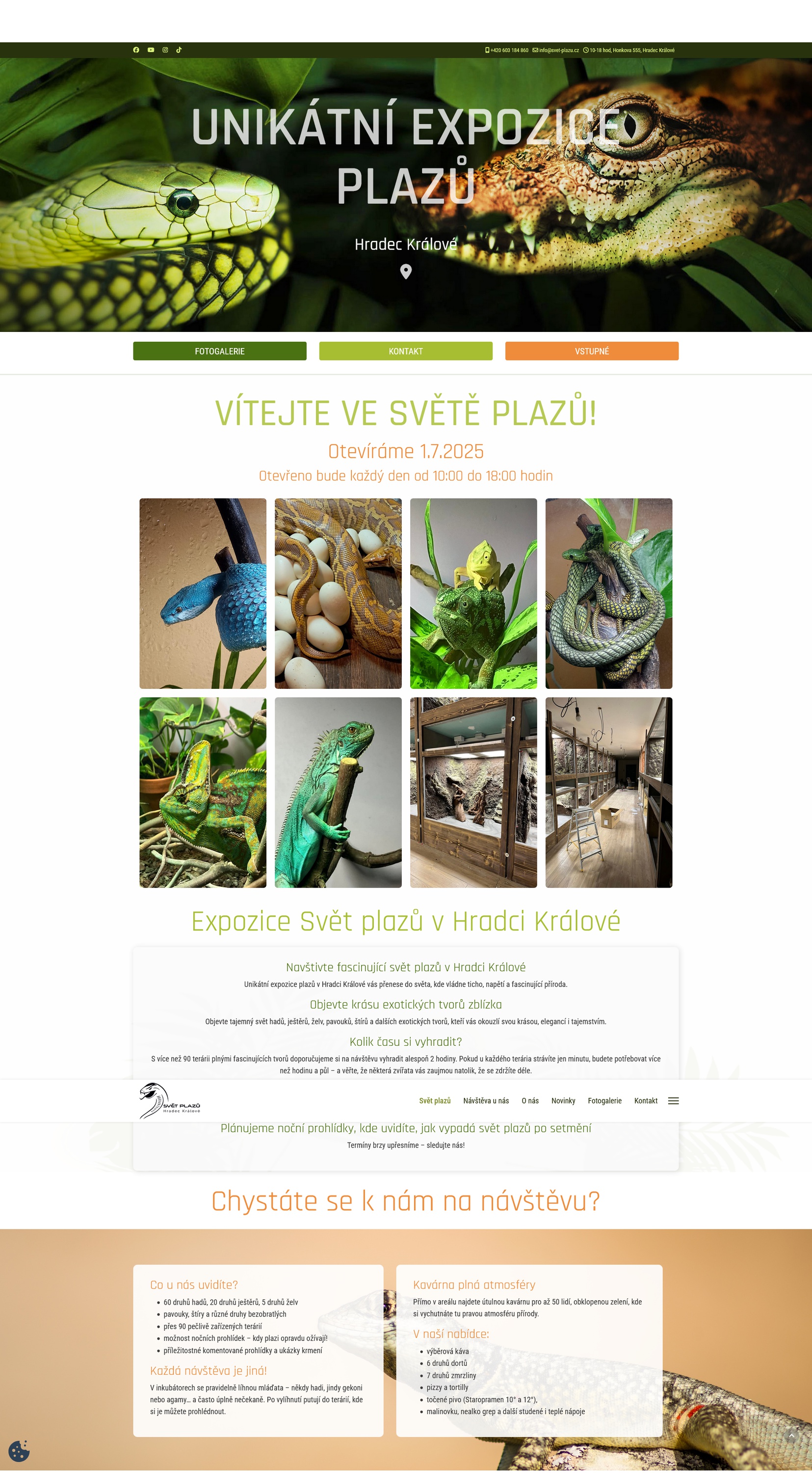 Webovky pro Vás - Sylvie Novotná foto 3