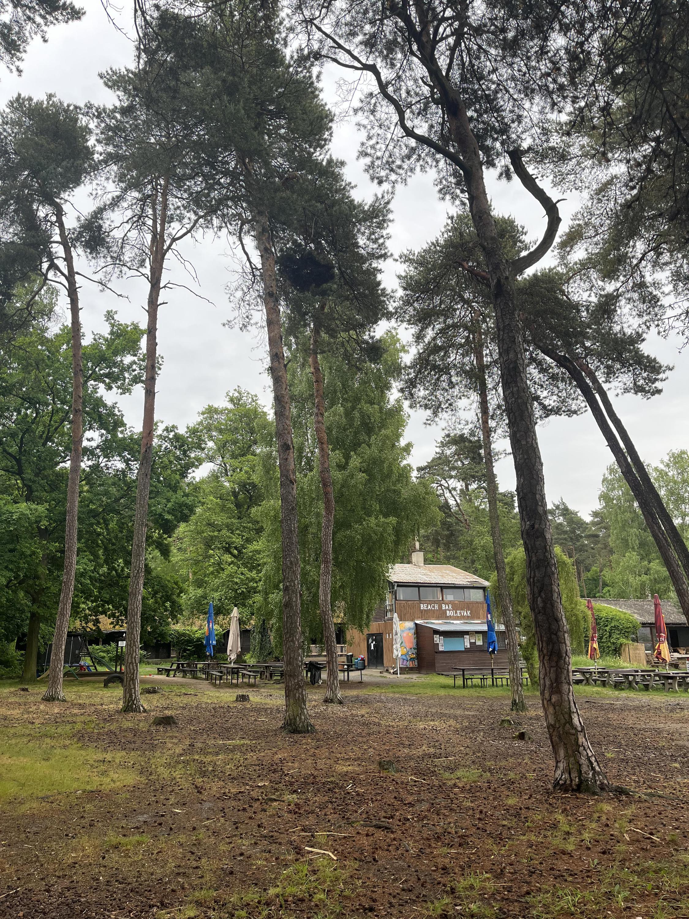 Beach Bar Bolevák foto 3