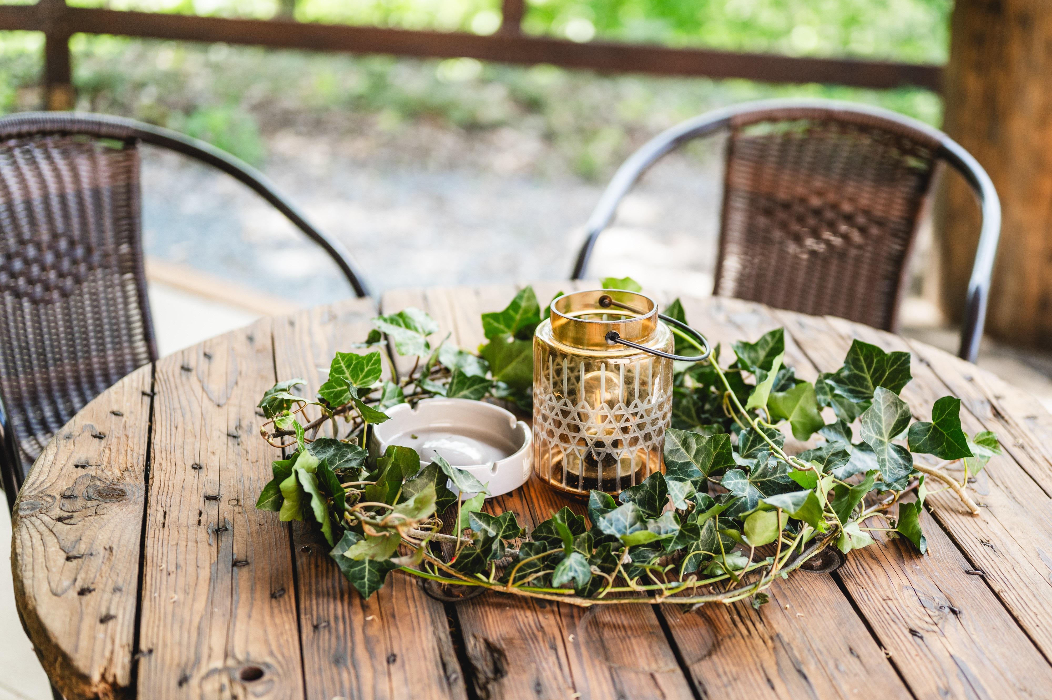 Catering Marcaník a svatební sál Na Dubině foto 4