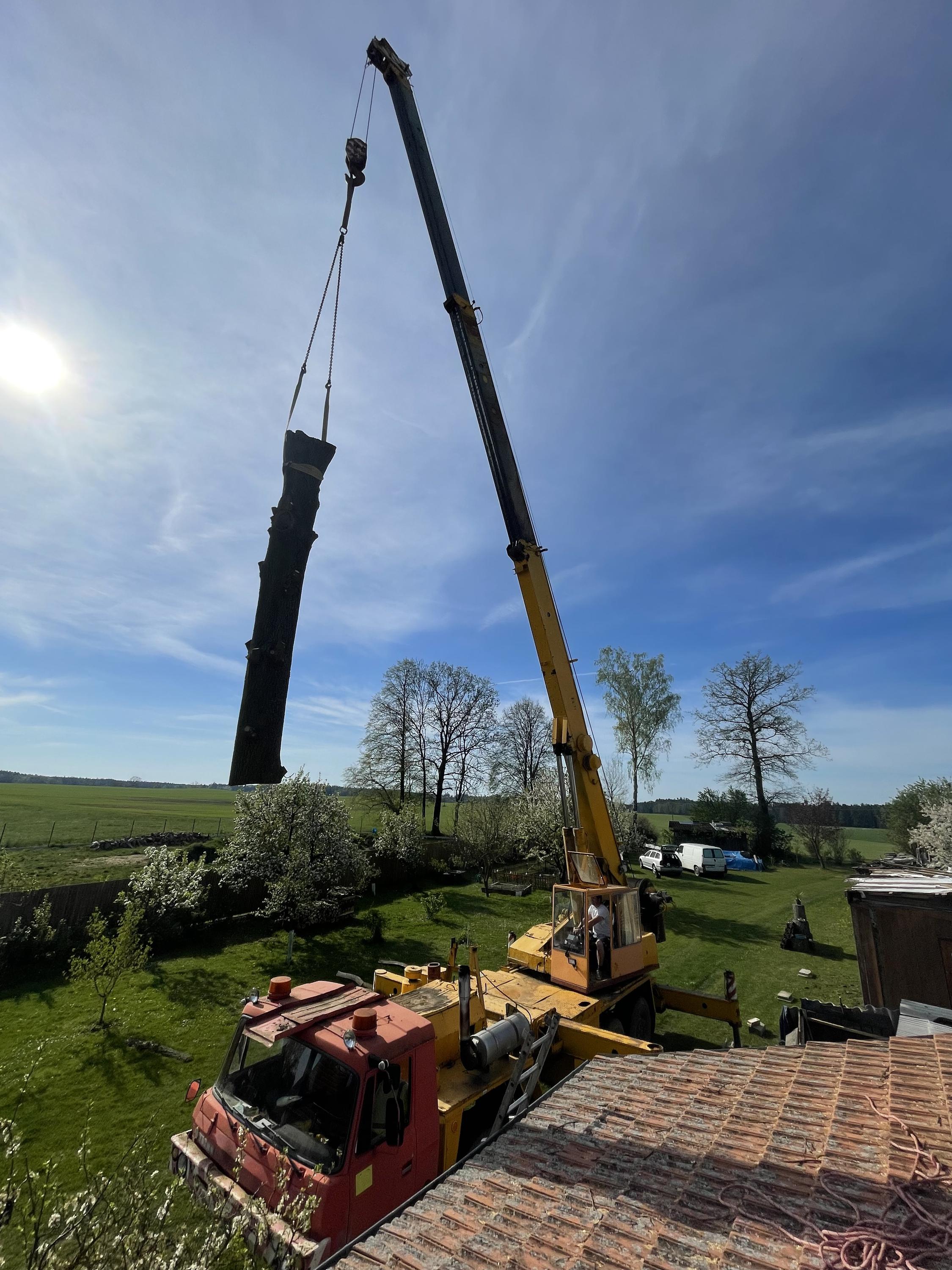 Zahradnické služby Martin Havelka foto 2