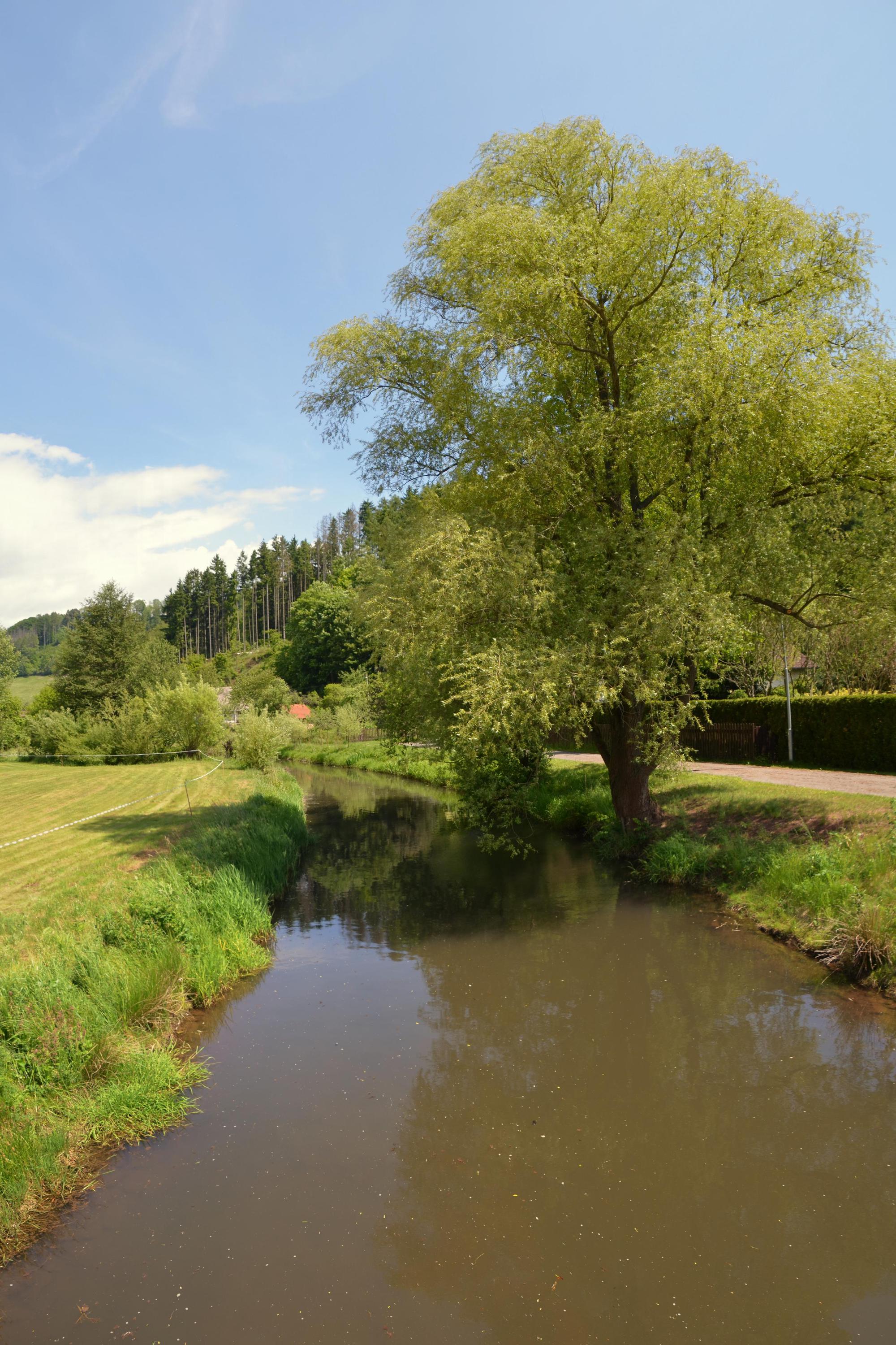 MŠ Velký Dřevíč foto 2