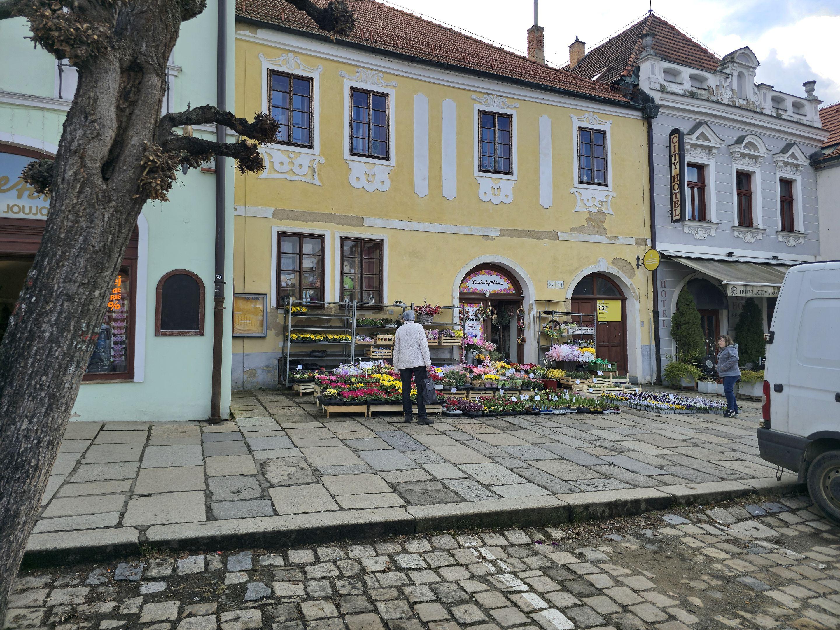 Písecká kytičkárna foto 5