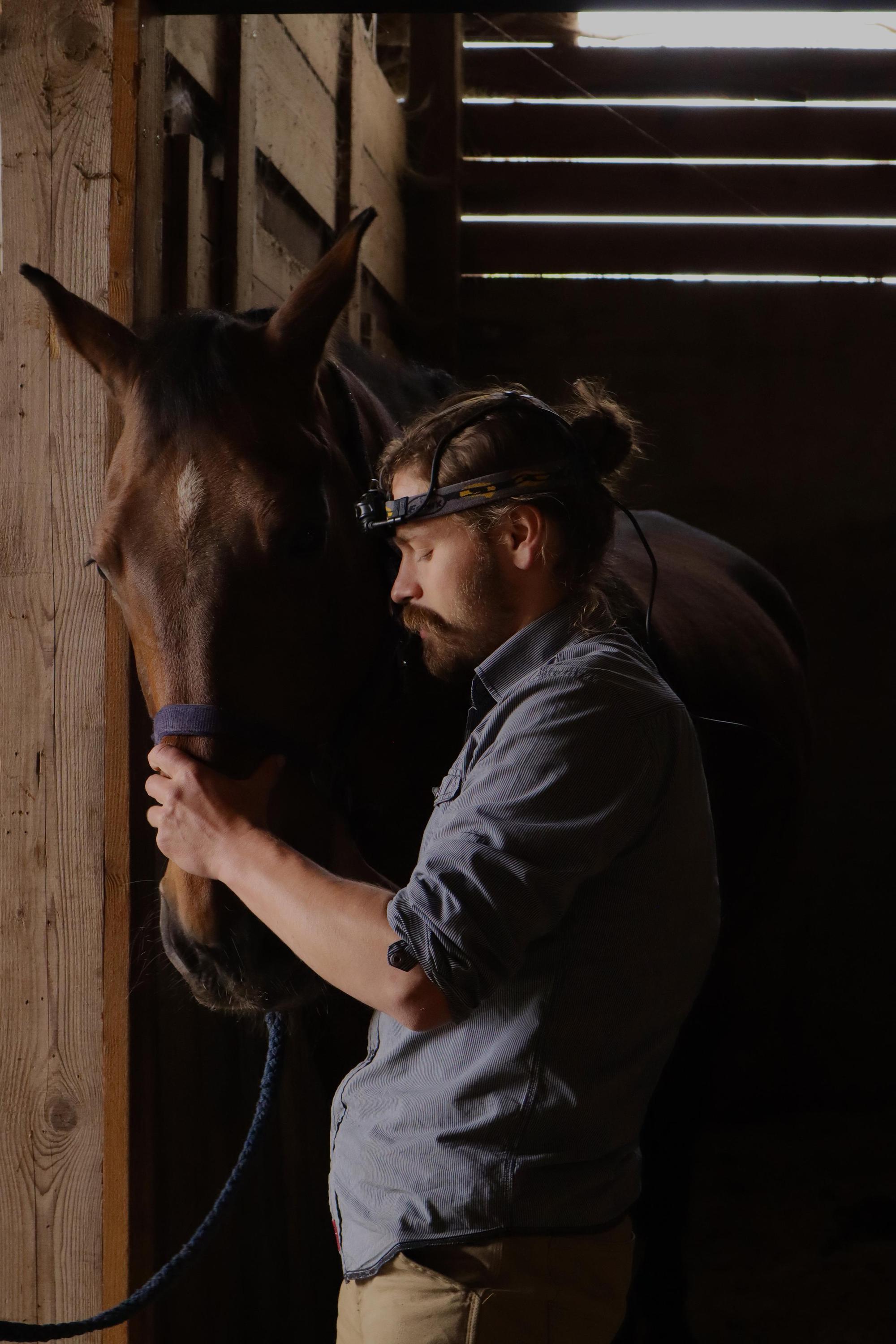 Koňský zubař - MVDr. Jakub Hanáček foto 2