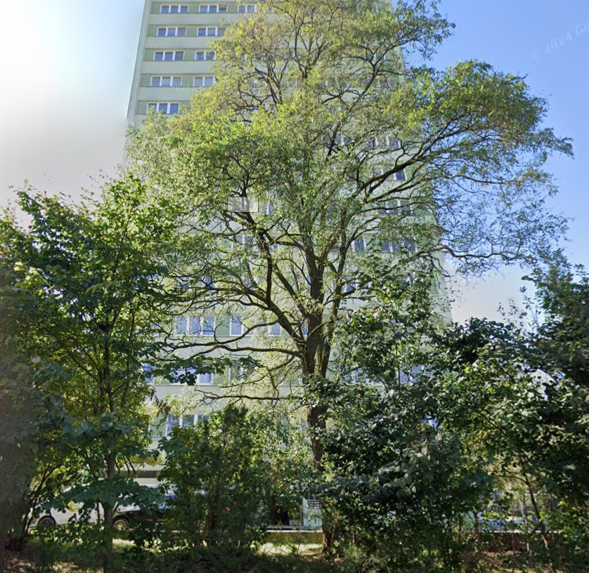Assistio - centrum péče foto 2