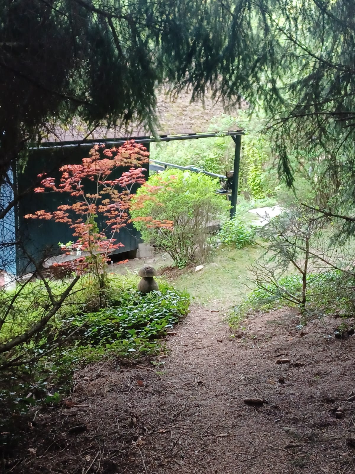 Ubytování Romantika u lesa foto 4