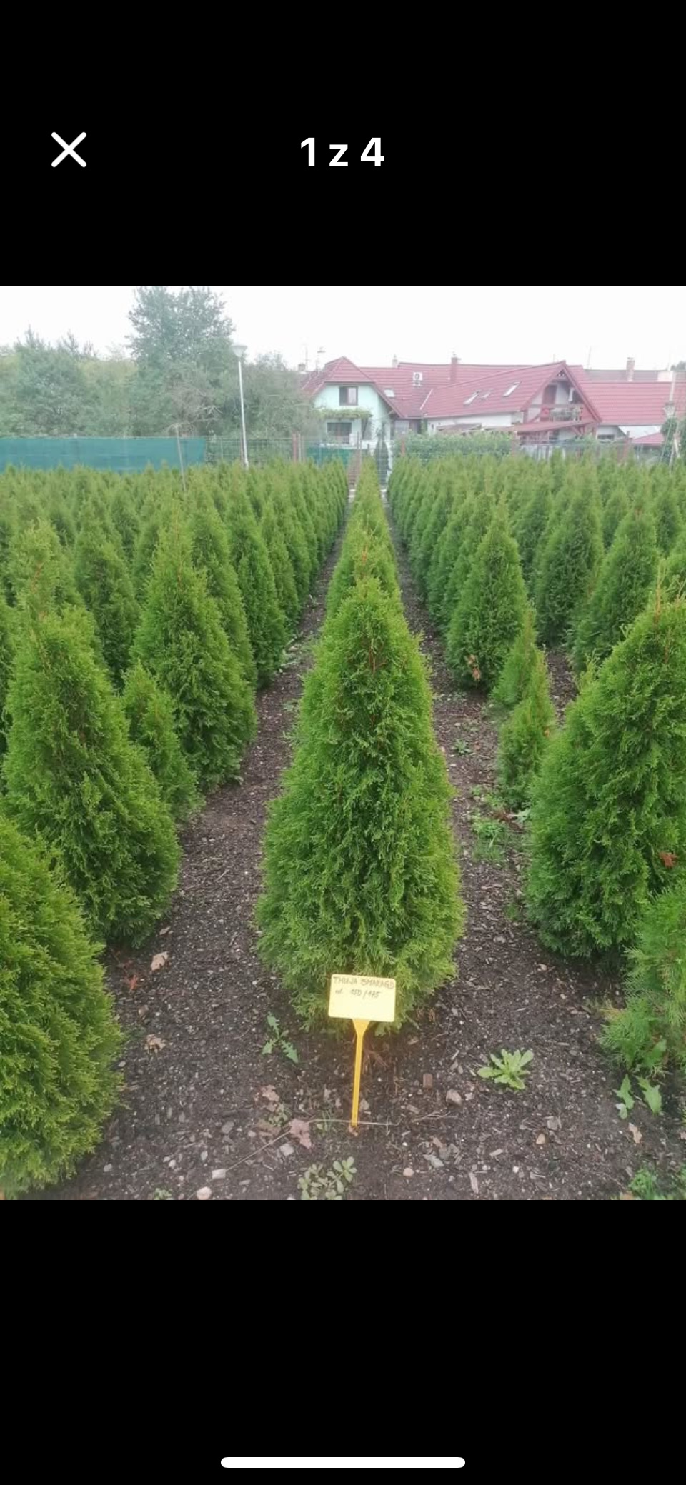 Zahradnické služby Martin Havelka foto 3