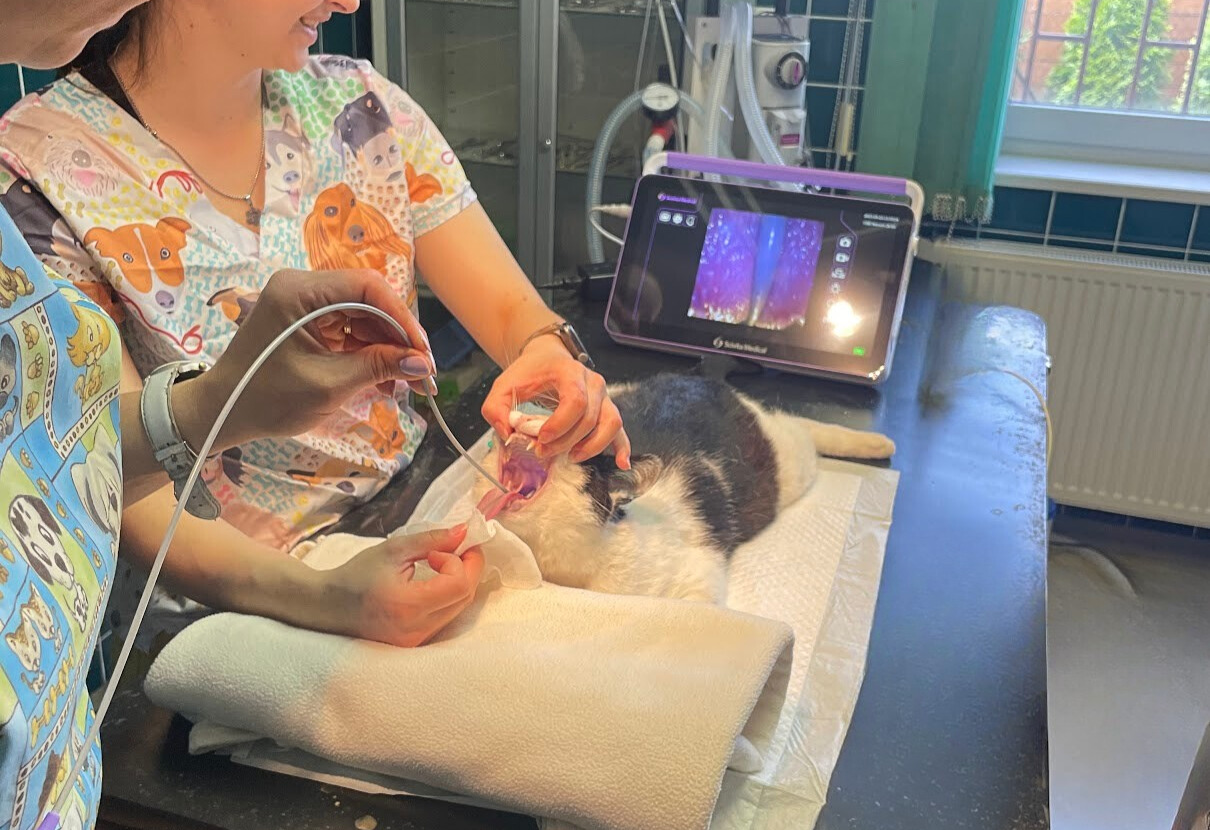 Bronchoskopie - vyšetření dýchacích cest