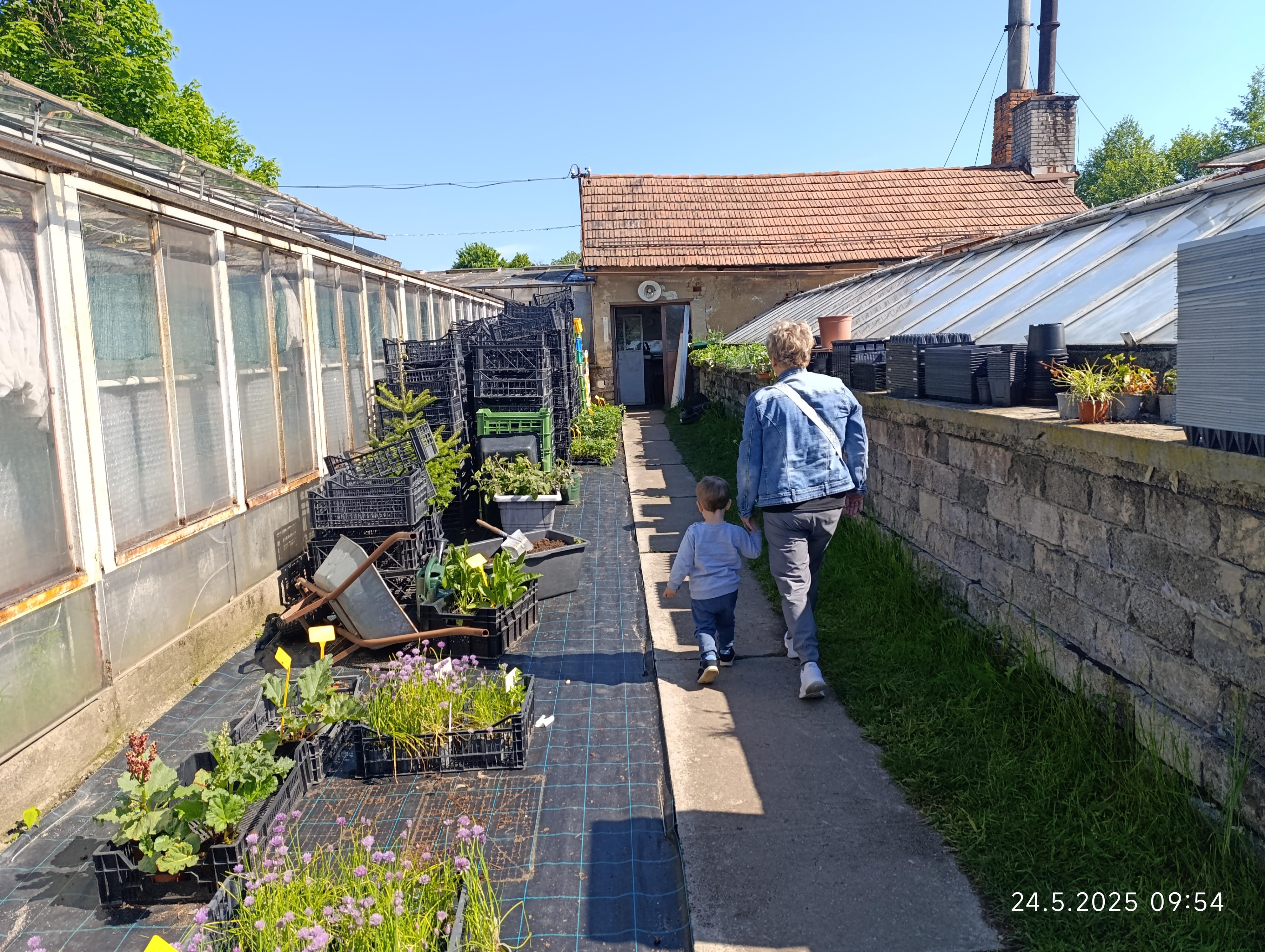 Zahradnictví Matula foto 3