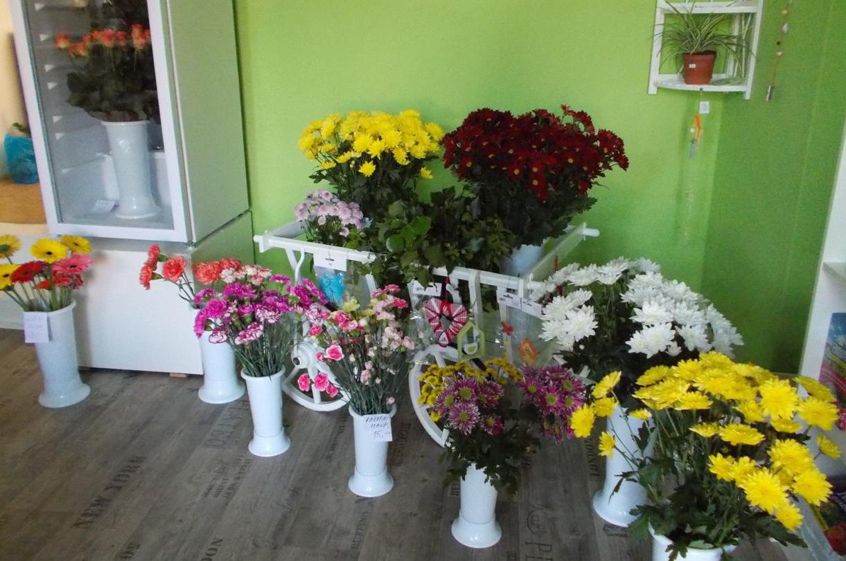 Květiny Markéta Štěpánková