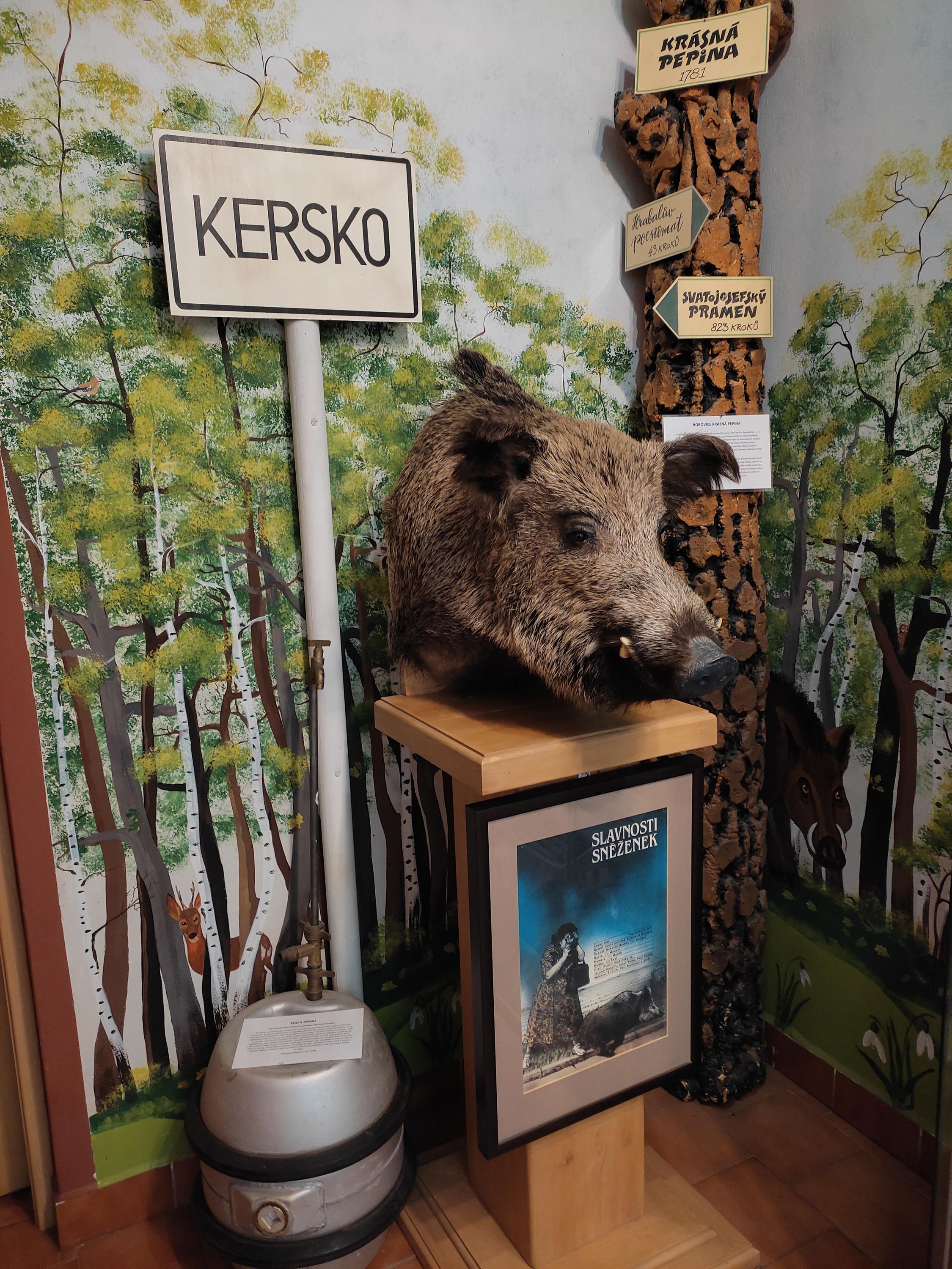 Lesní ateliér Kuba foto 3