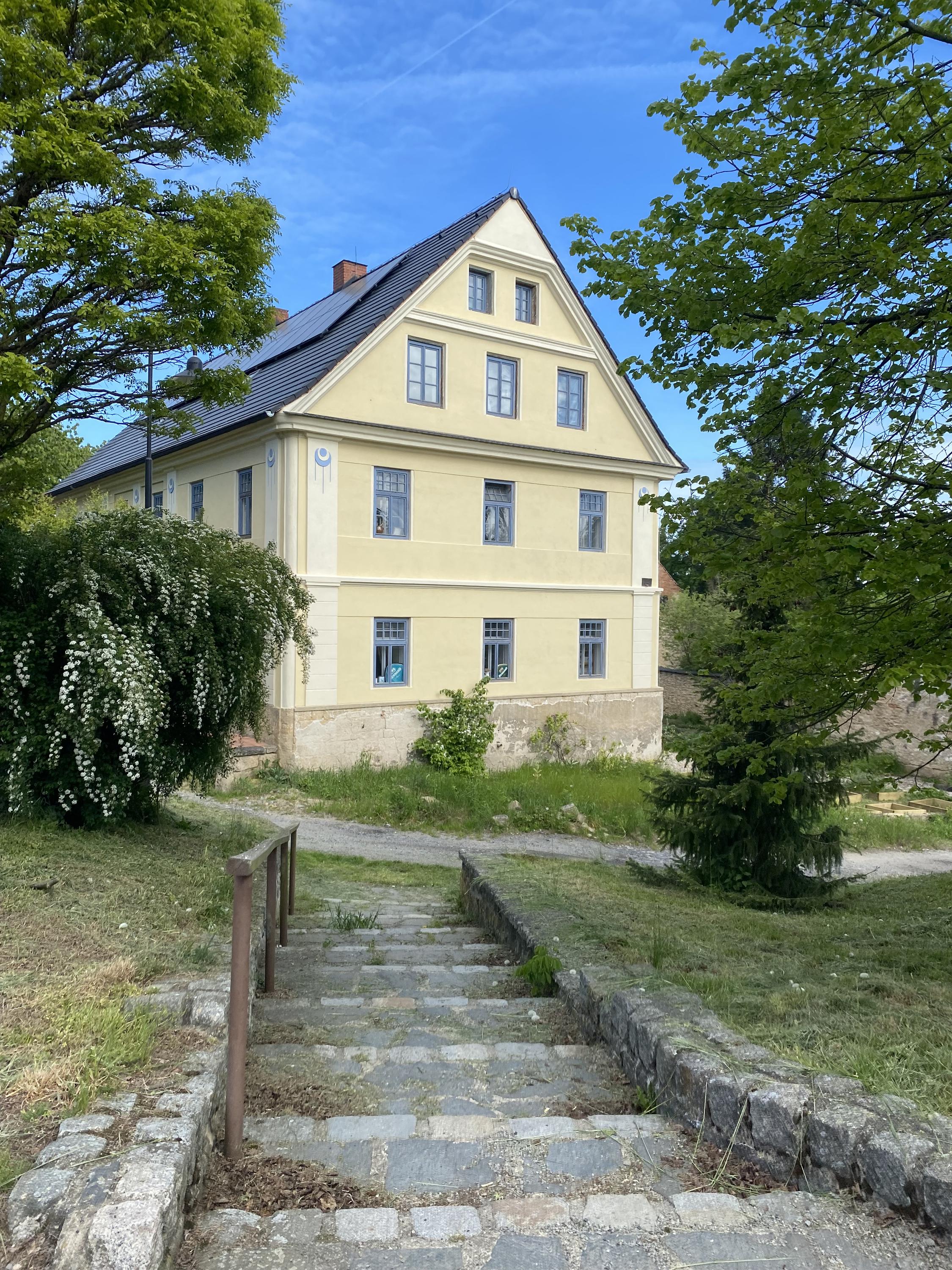 Koloniál Levandule foto 3