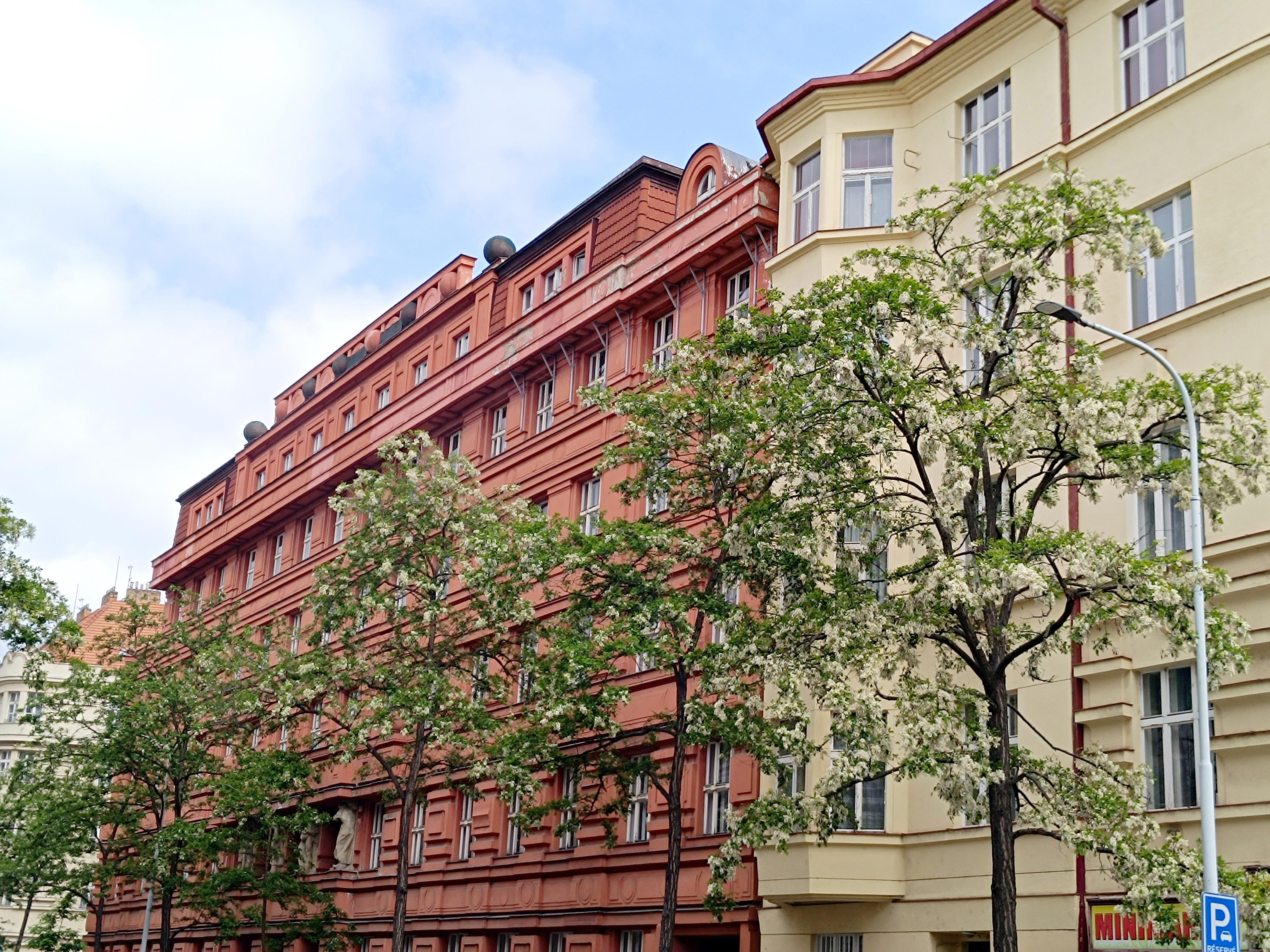 Kolej Švehlova - Univerzita Karlova foto 5