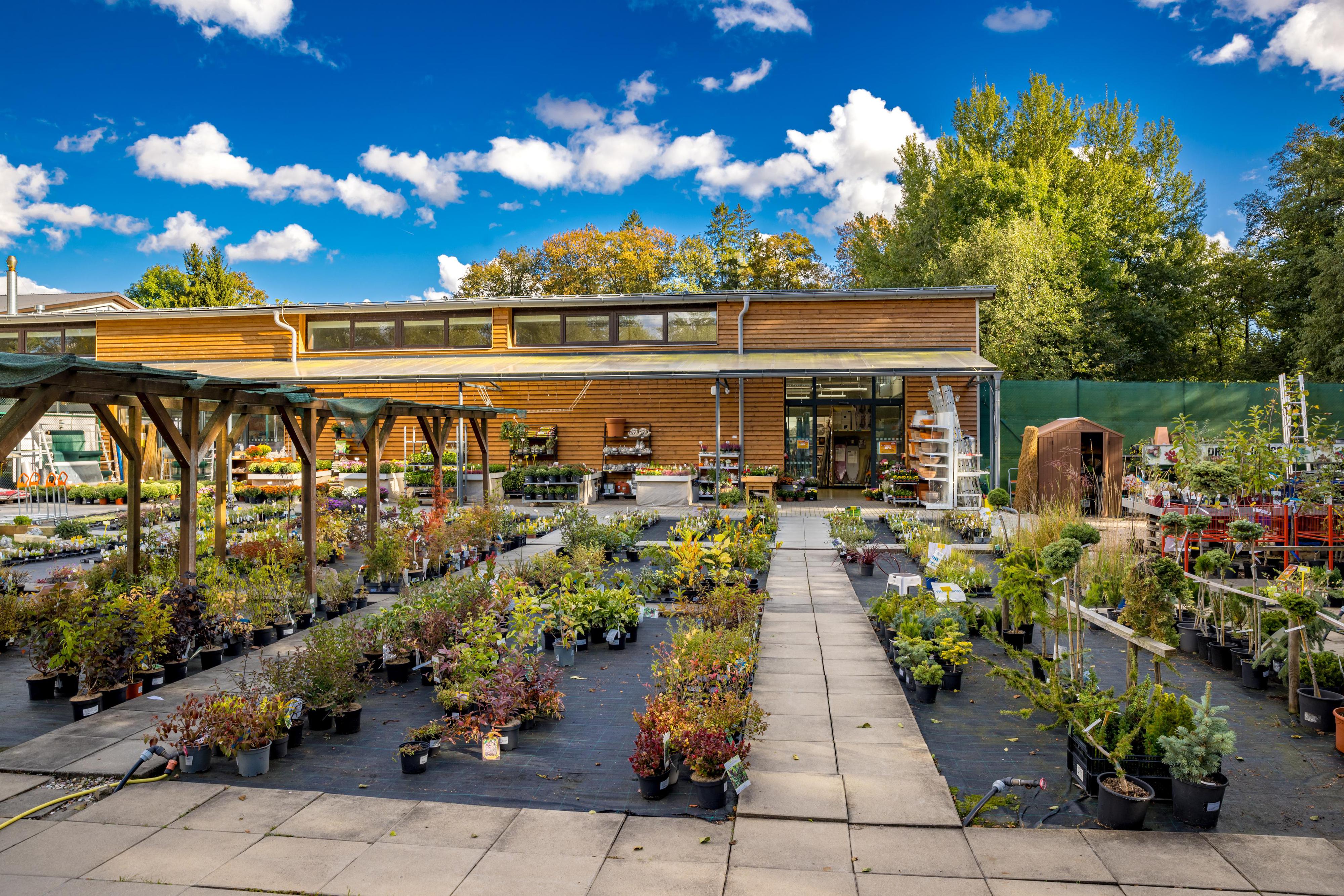 Obchodní dům Kinský