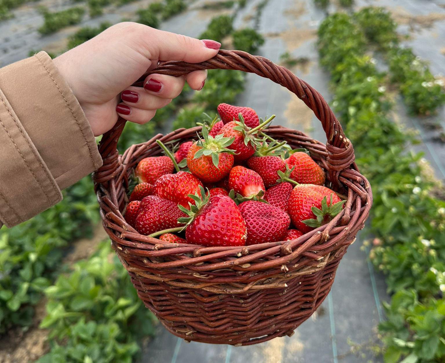 Farma Dryák - Osluchov foto 4