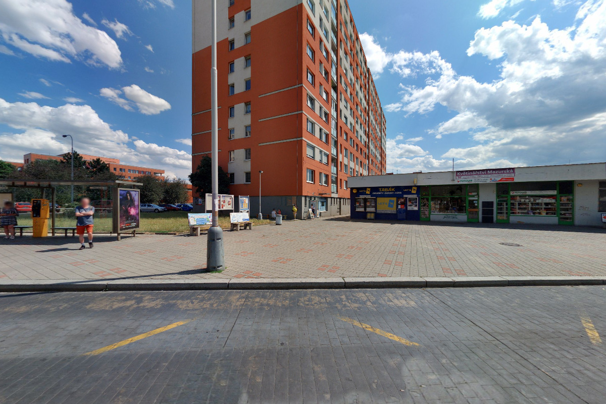 Zmrzka Mazurská foto 1