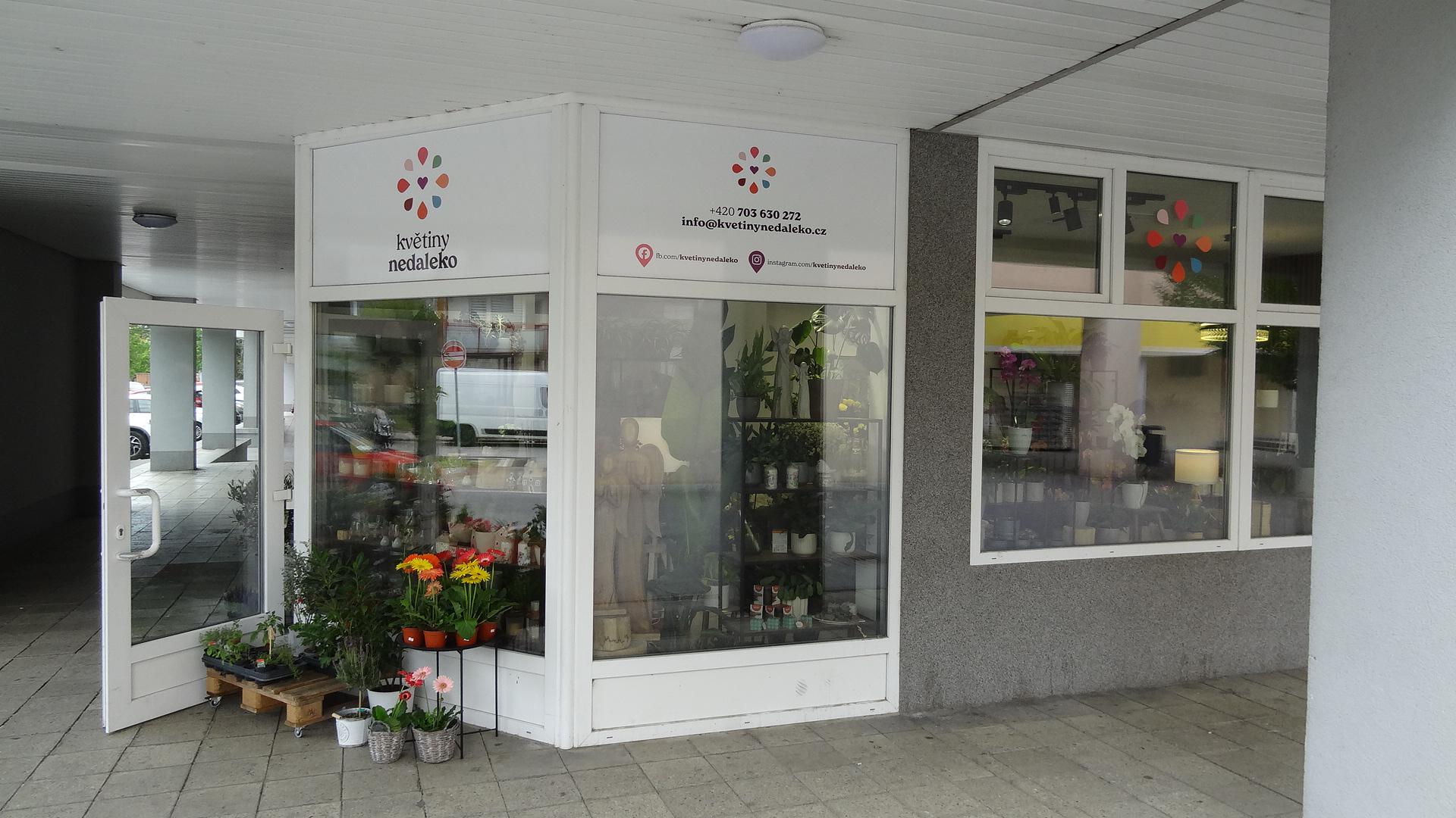 Květiny Nedaleko foto 2