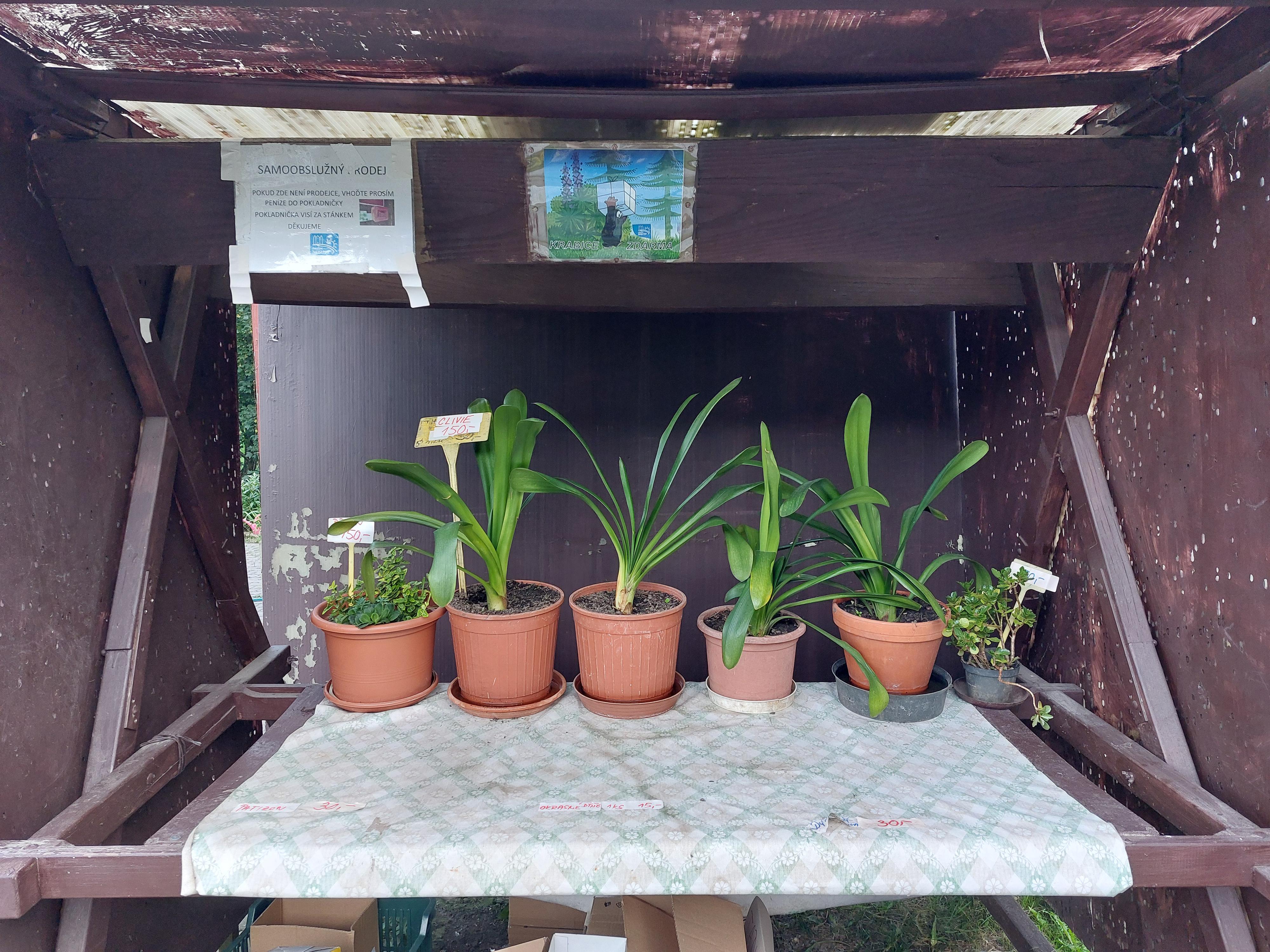 Zahradnictví - samoobslužný prodej
