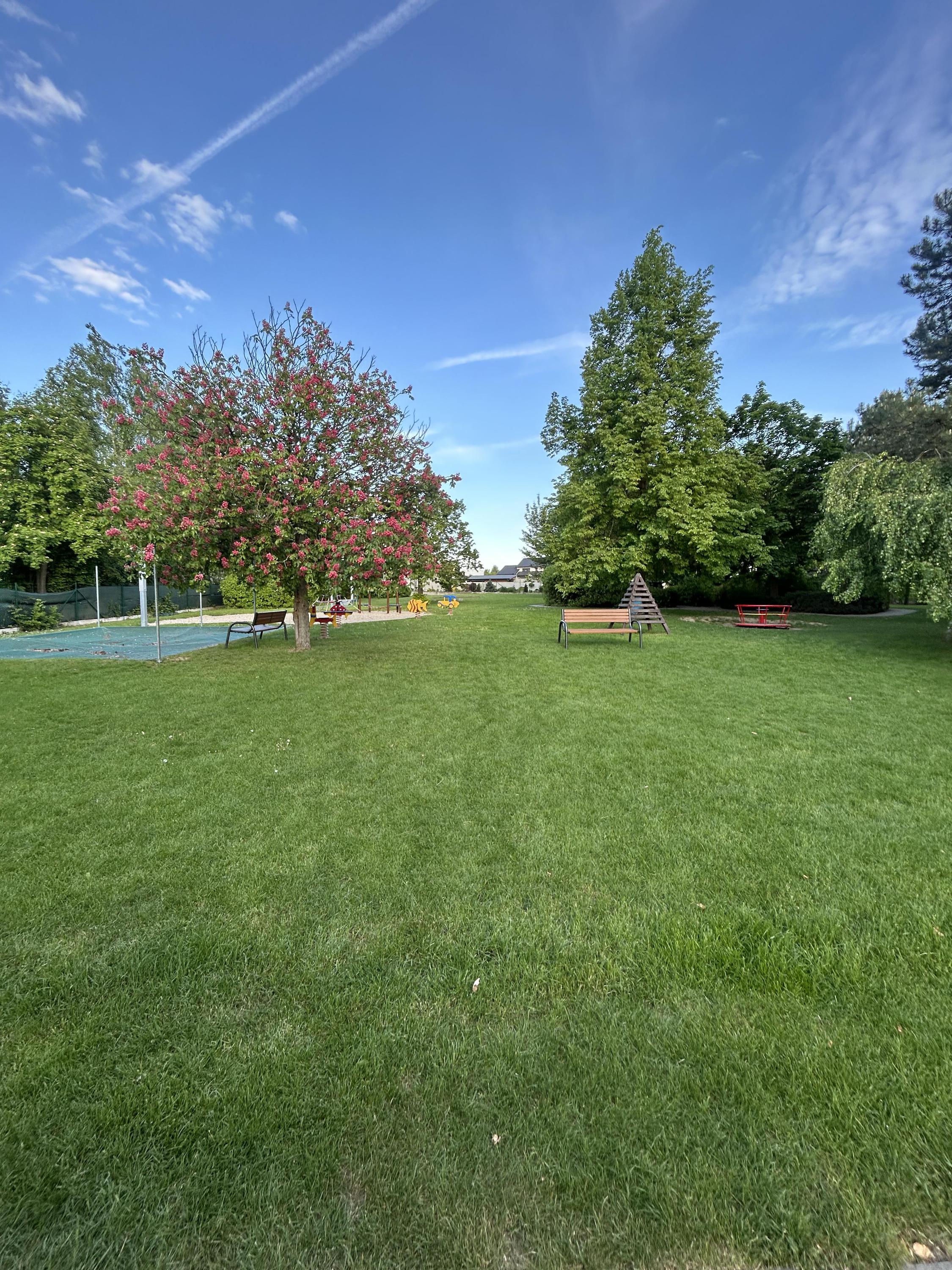 Údržba vaší zeleně Jan Hrnčiřík foto 6