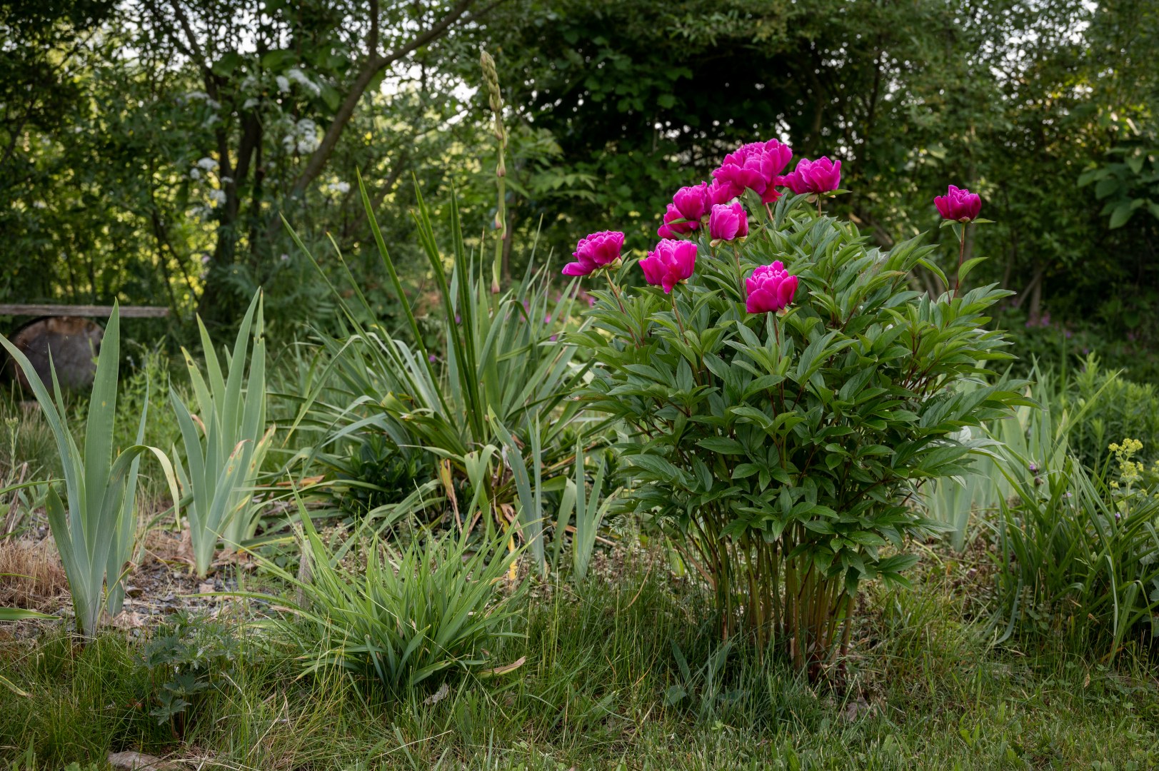 Ekozahrady Jaroslav Svoboda foto 2