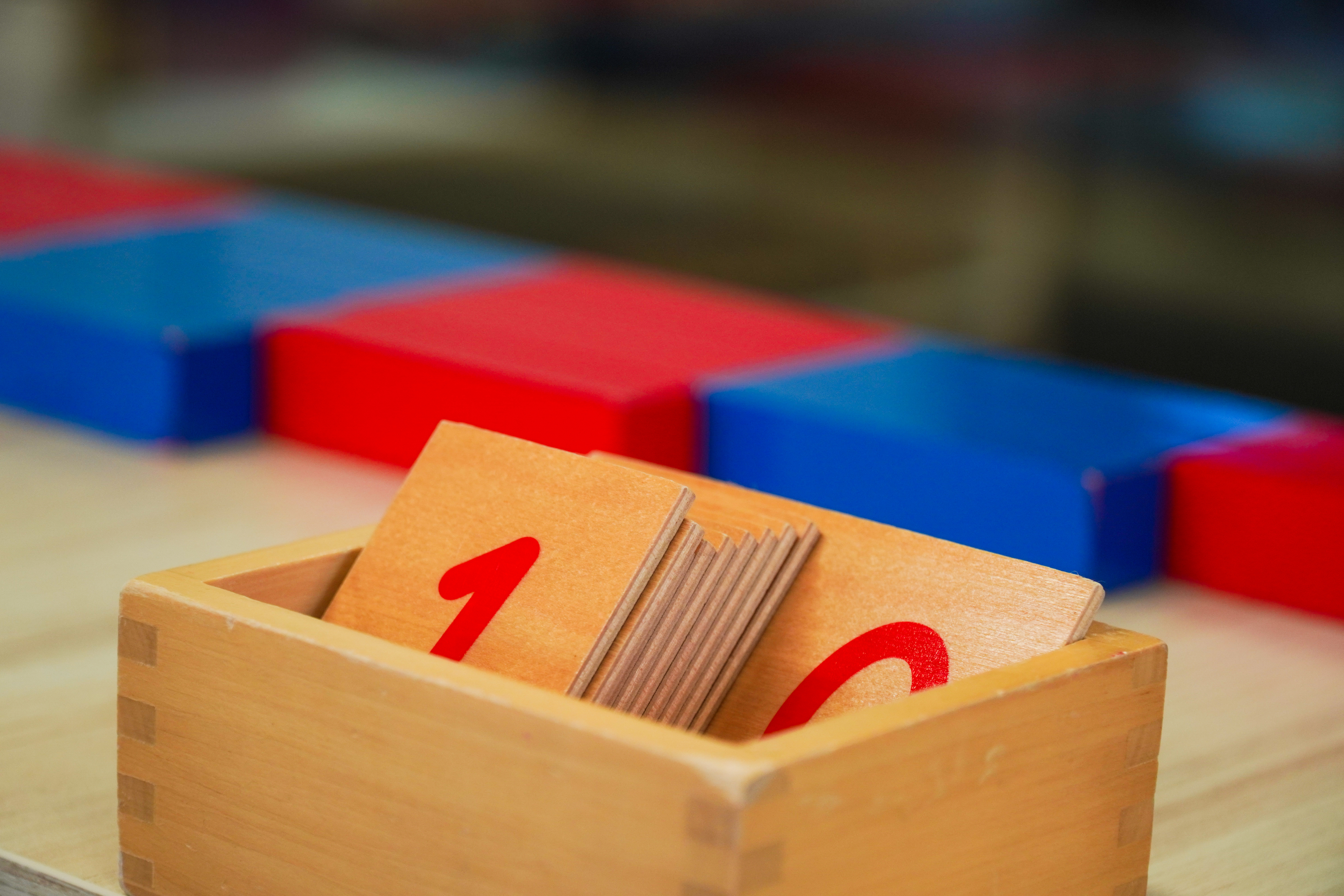 Základní škola a gymnázium AVIDA foto 4