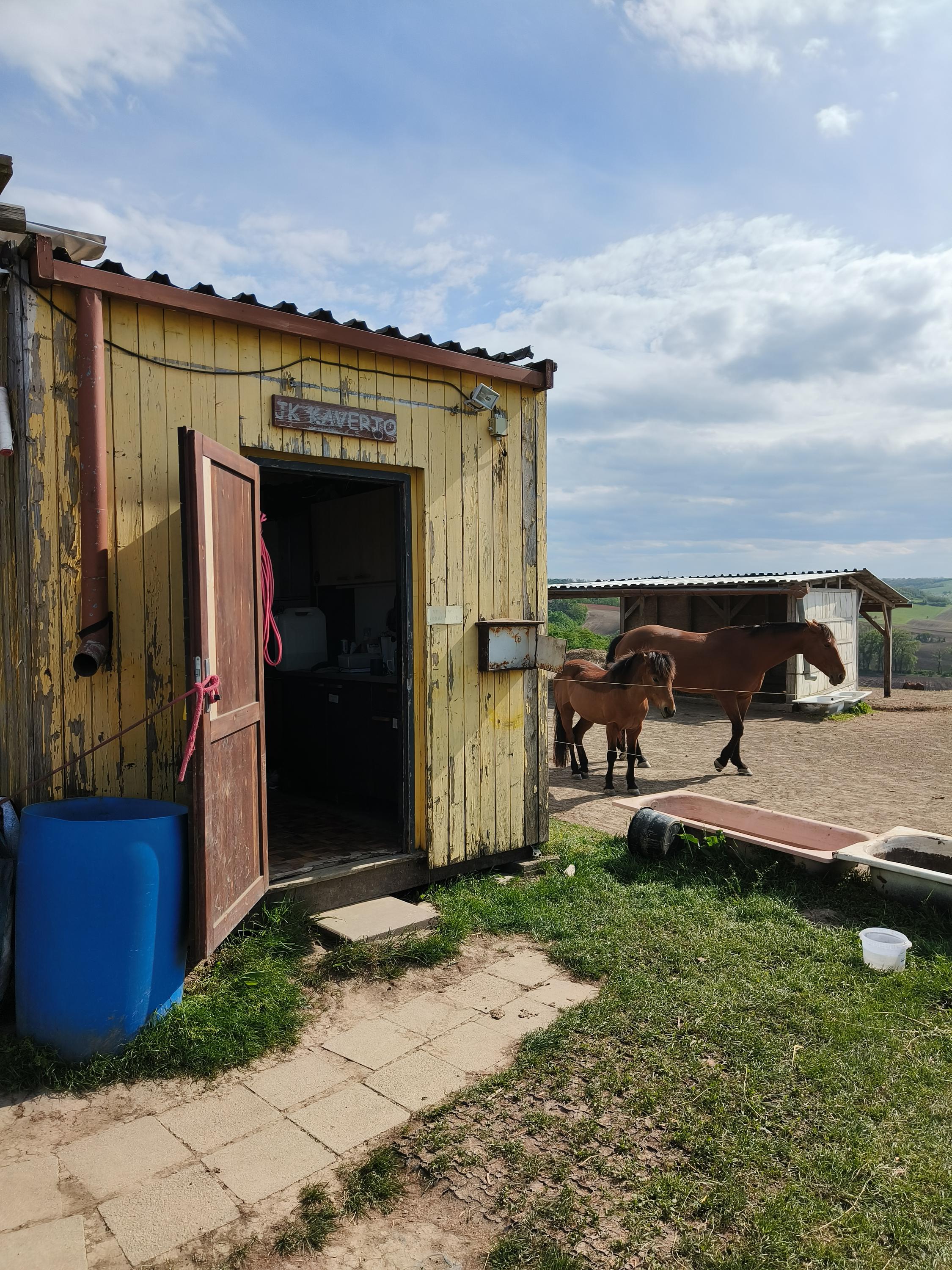 Jezdecký klub Kaverto foto 2