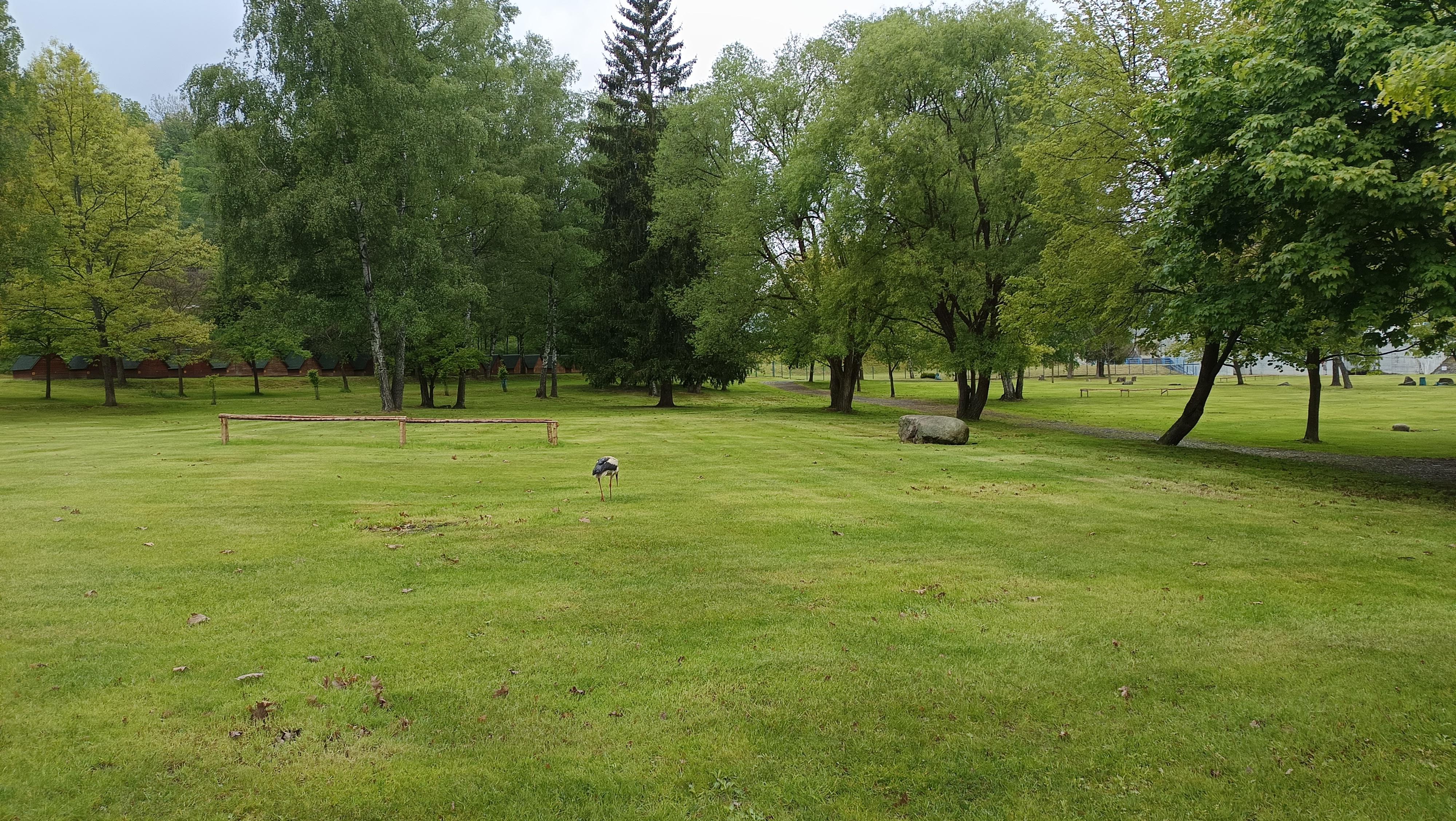 Stellplatz - Kemp Pod Hrází foto 5