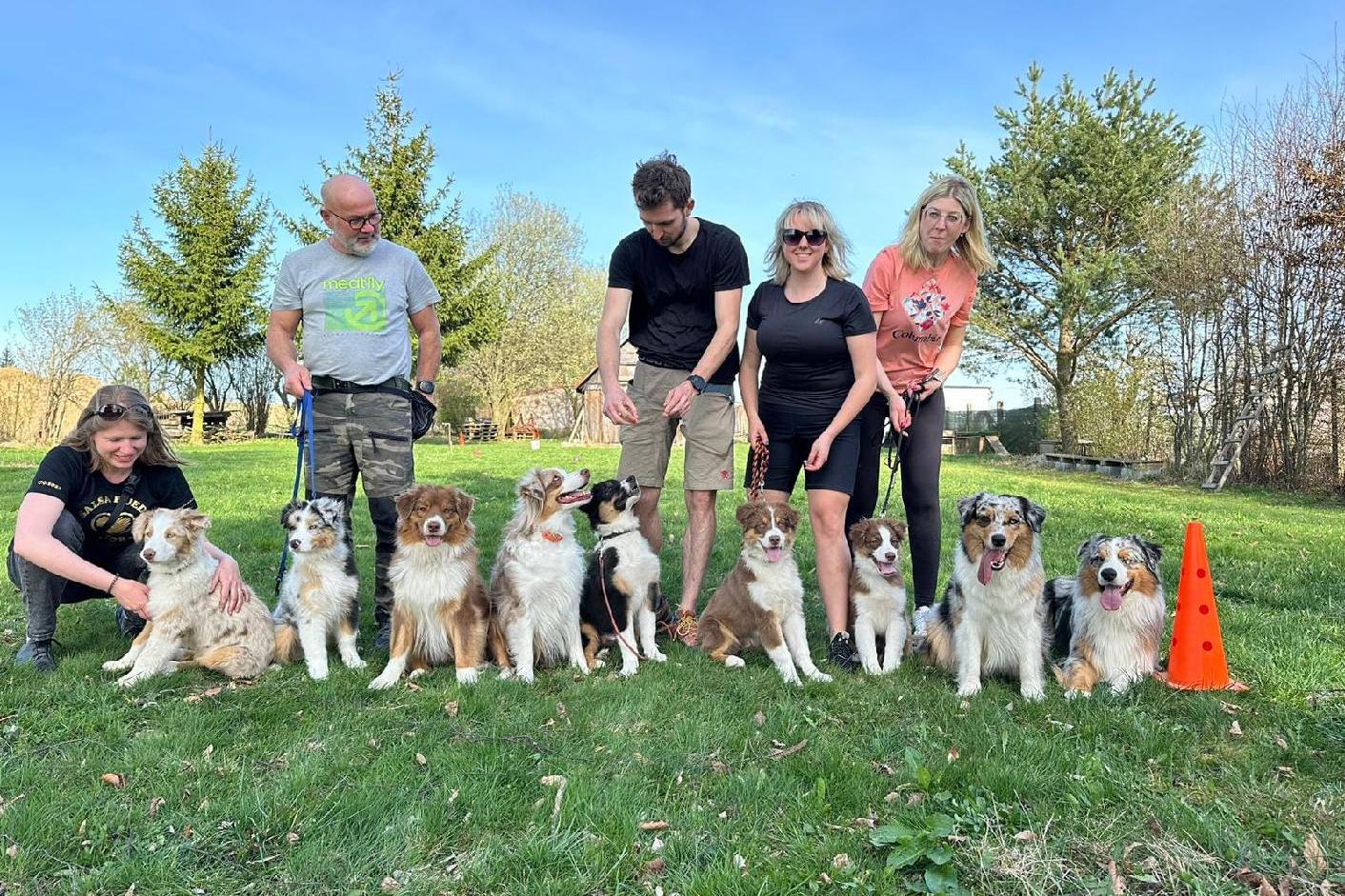 Psí škola Poslušný PES Ždár nad Sázavou