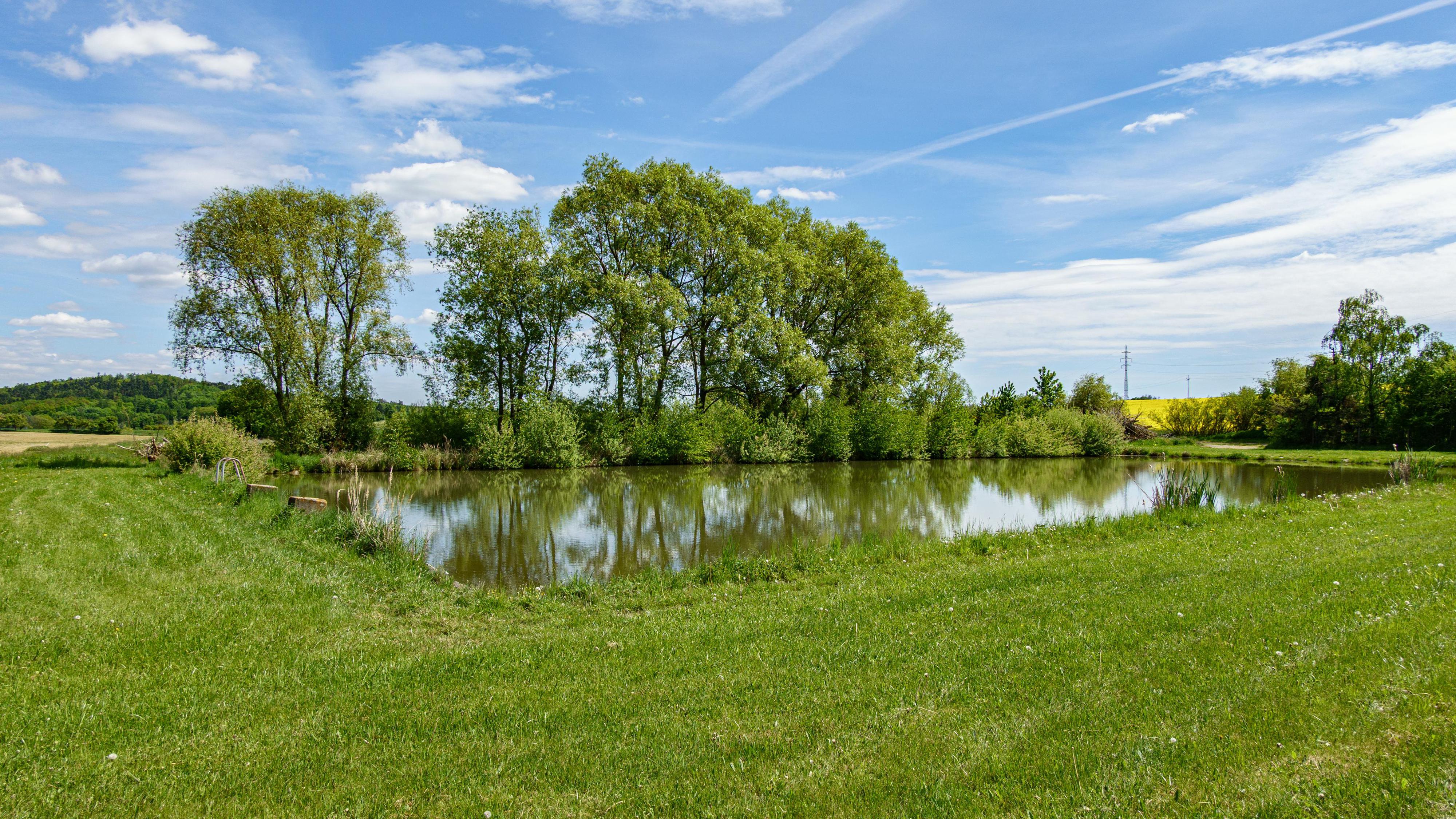 Přírodní koupaliště Mikulovice foto 5