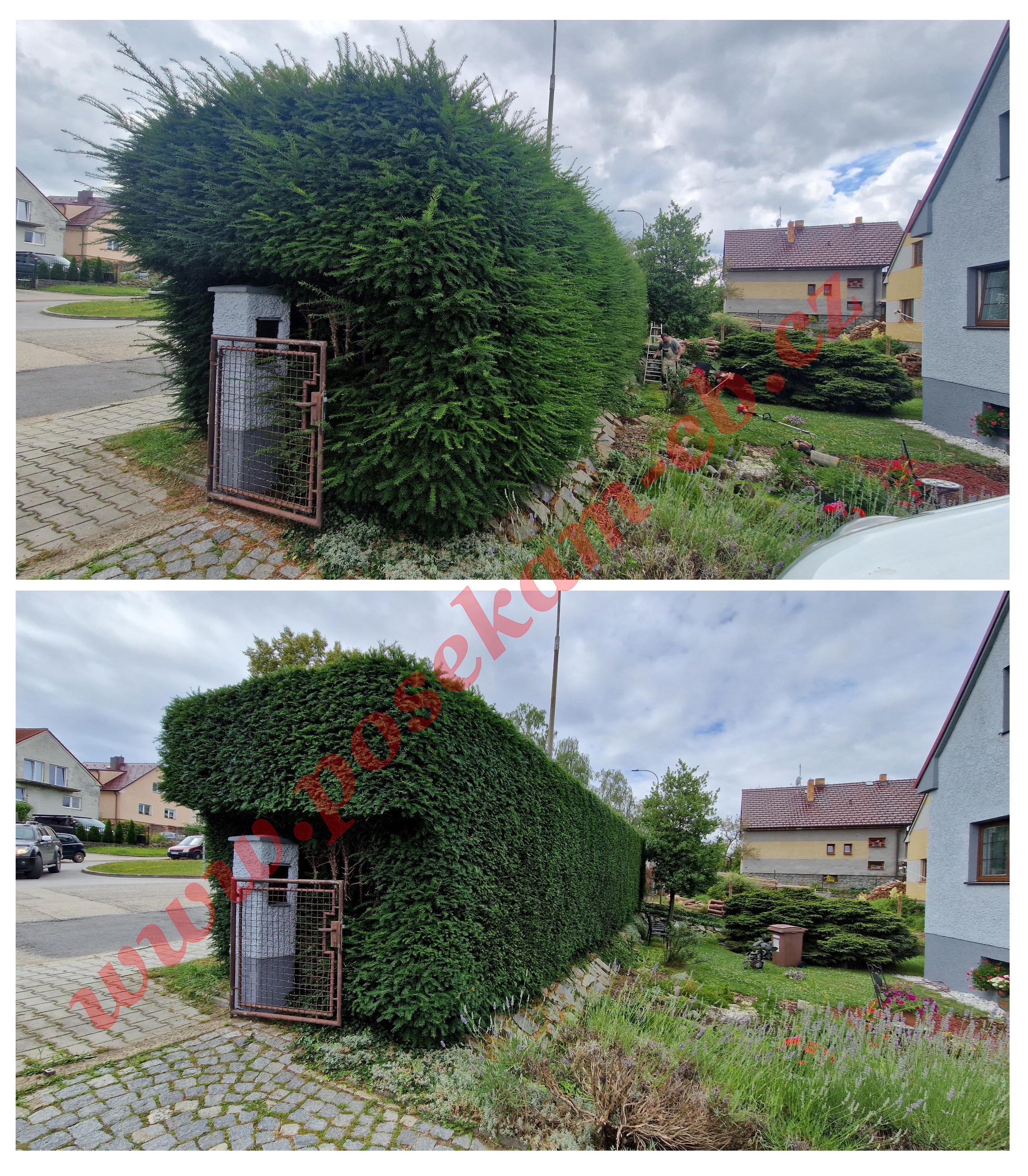 Údržba zeleně - Cyril Onderka foto 3