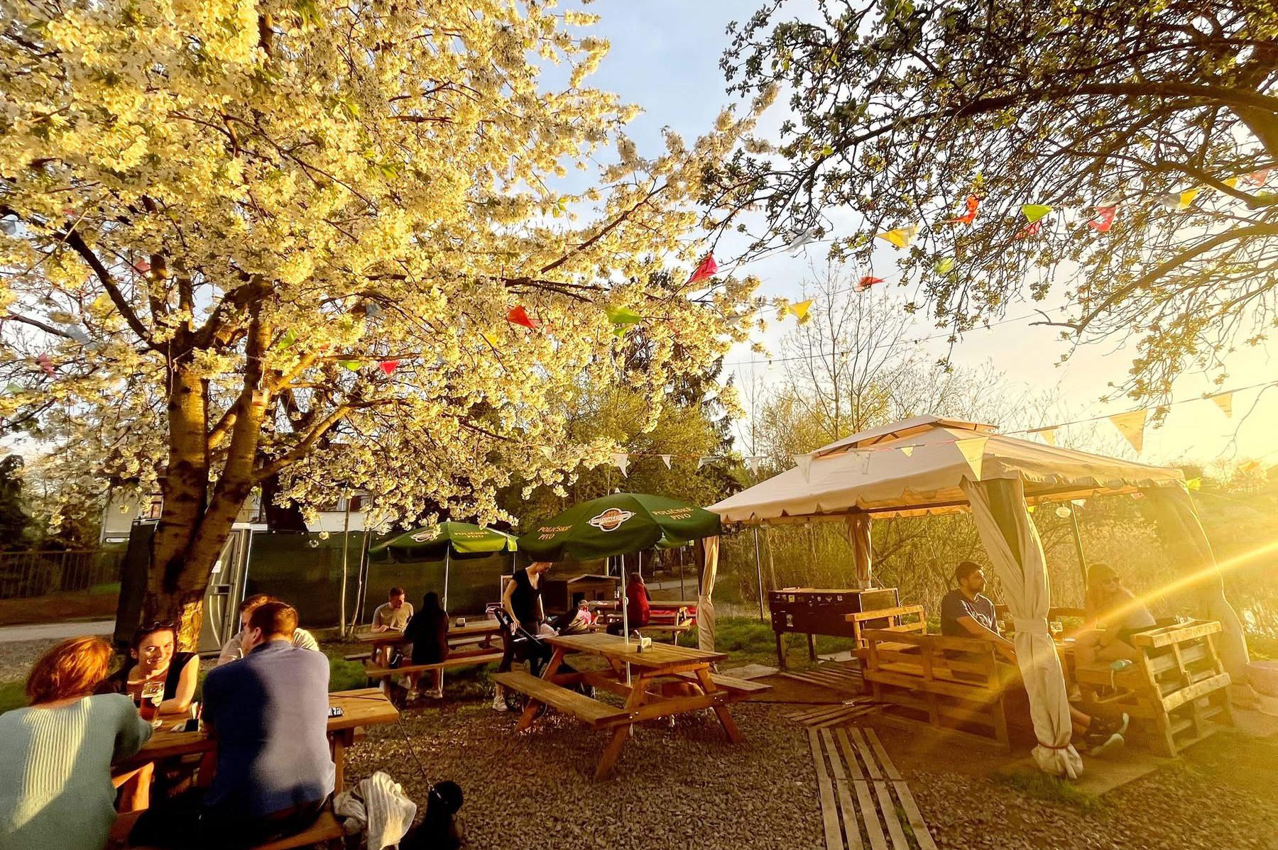 El Chupacabra's Tacos foto 1