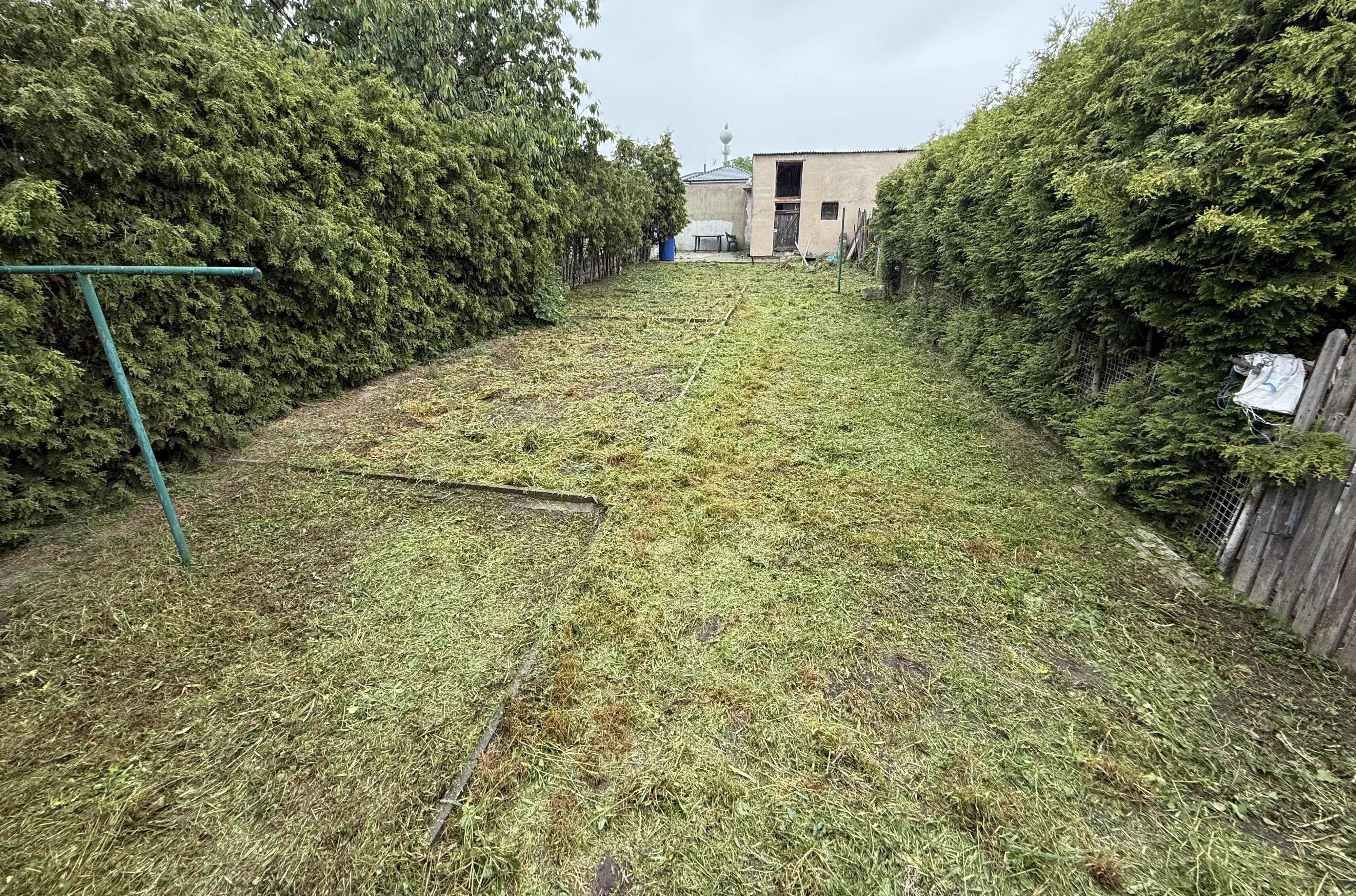 Sekání trávy Jan Laurin foto 4