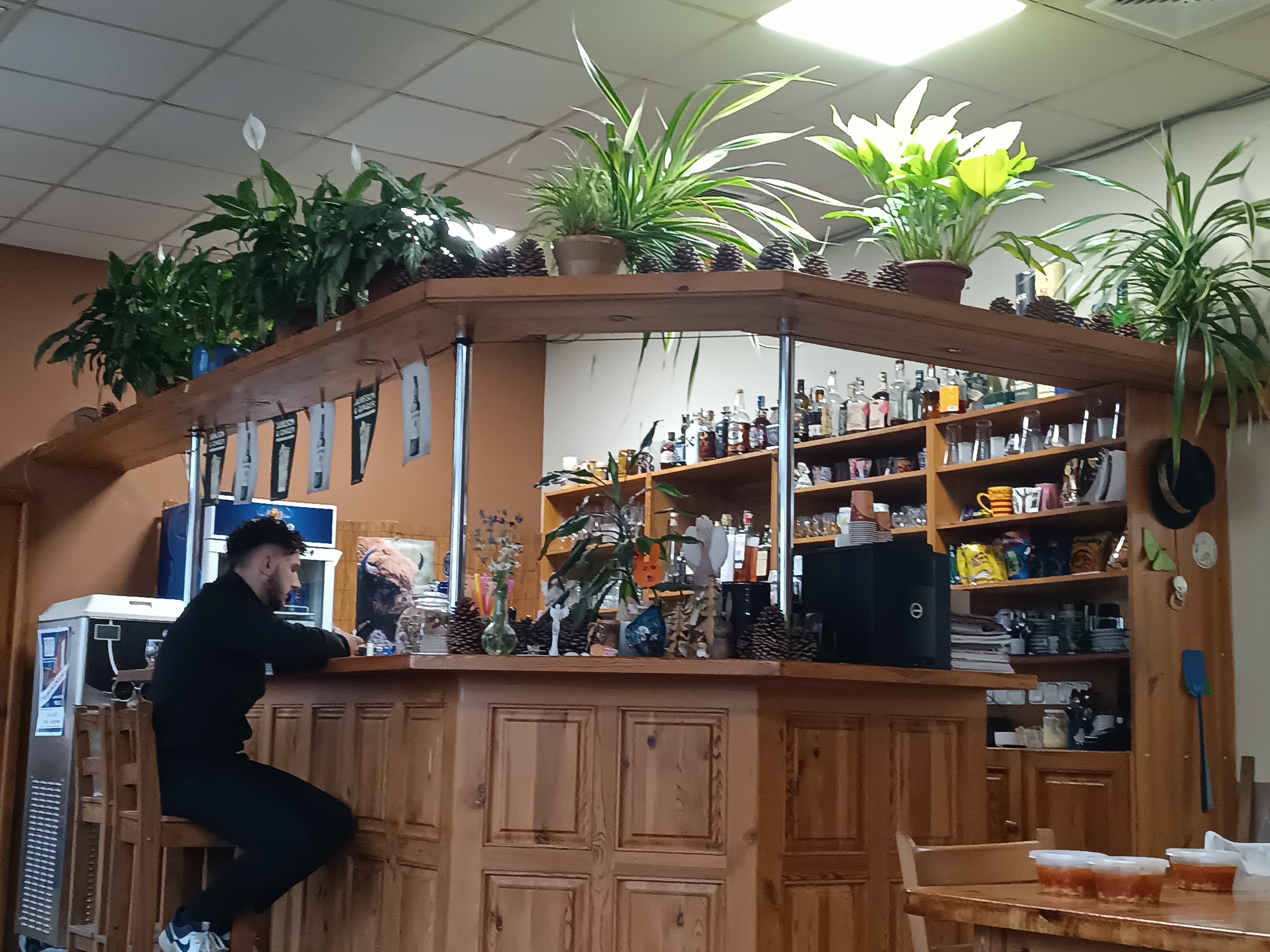 Restaurace Na Radnici foto 2