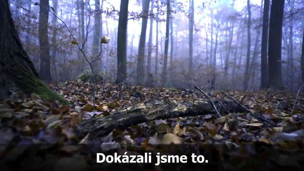 Oční optika OliOptik foto 2 (náhled videa)