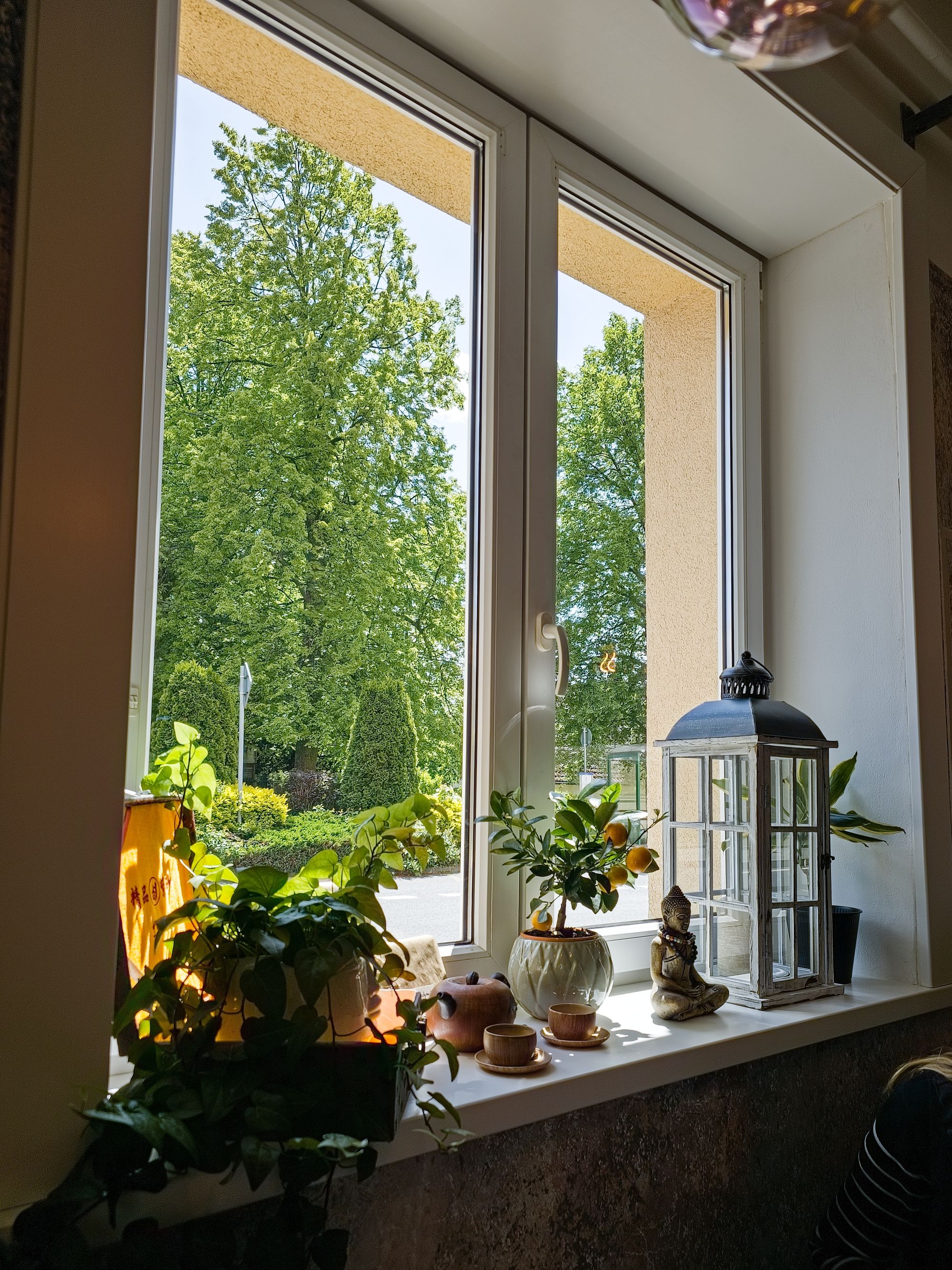 Kolovská pohoda foto 3