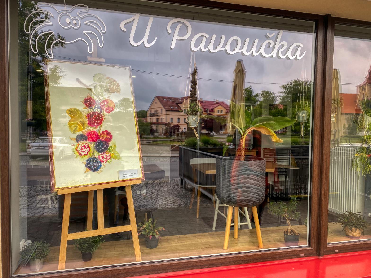 Cukrárna U Pavoučka foto 2