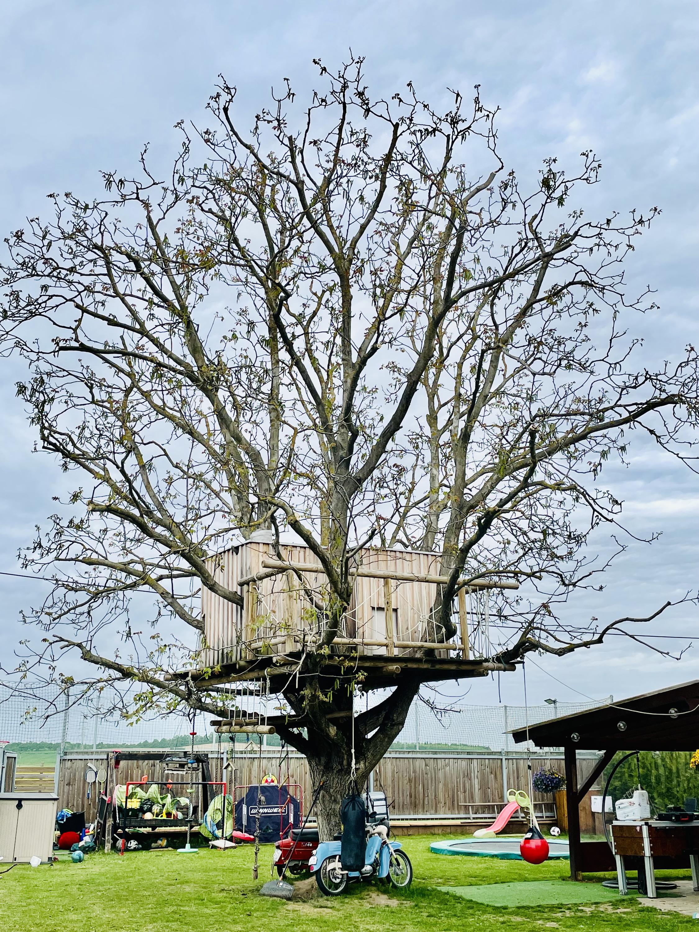 Zahradnické služby Martin Havelka foto 4